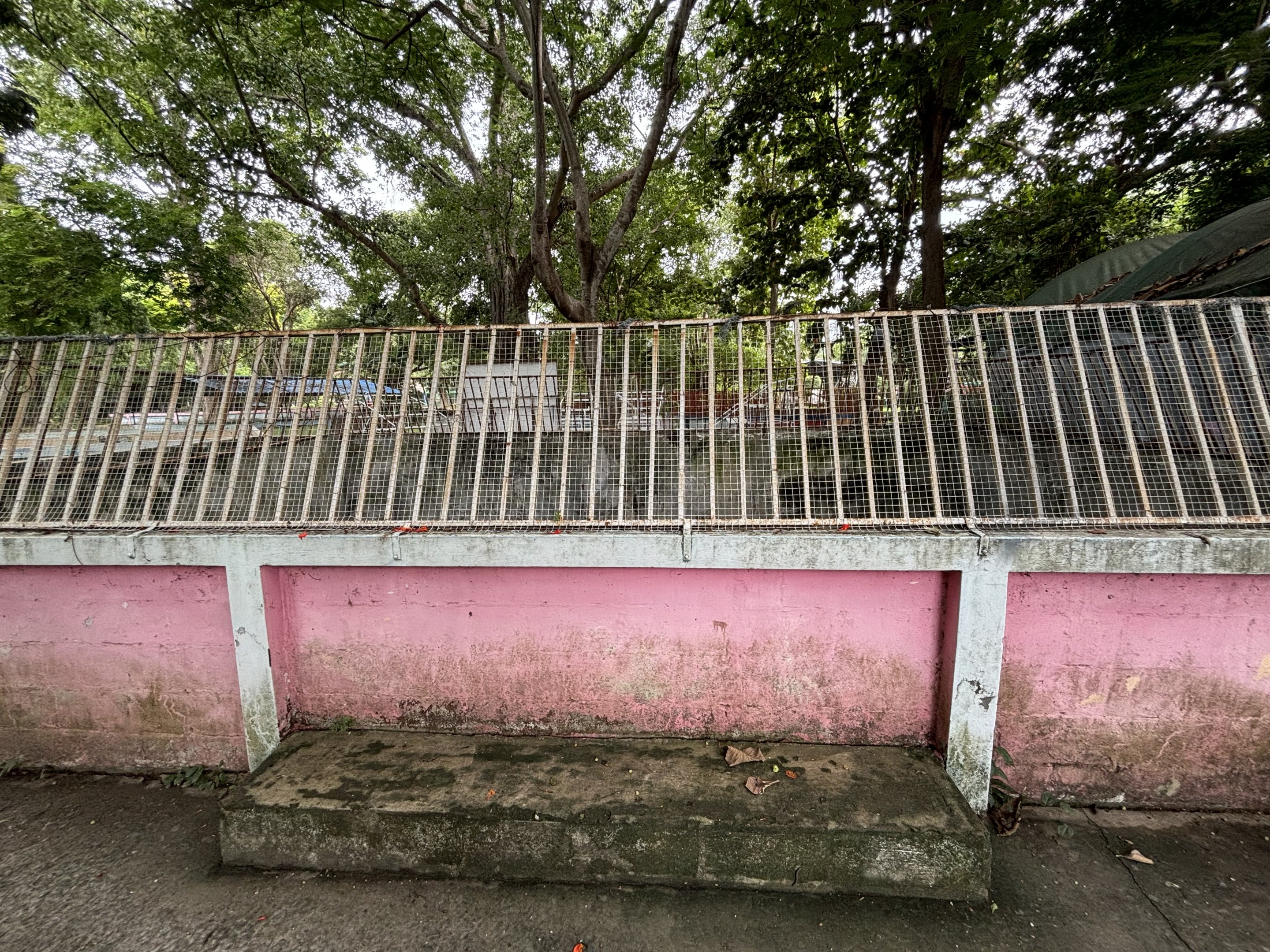 Abandoned Exhibit - Lopburi Zoo