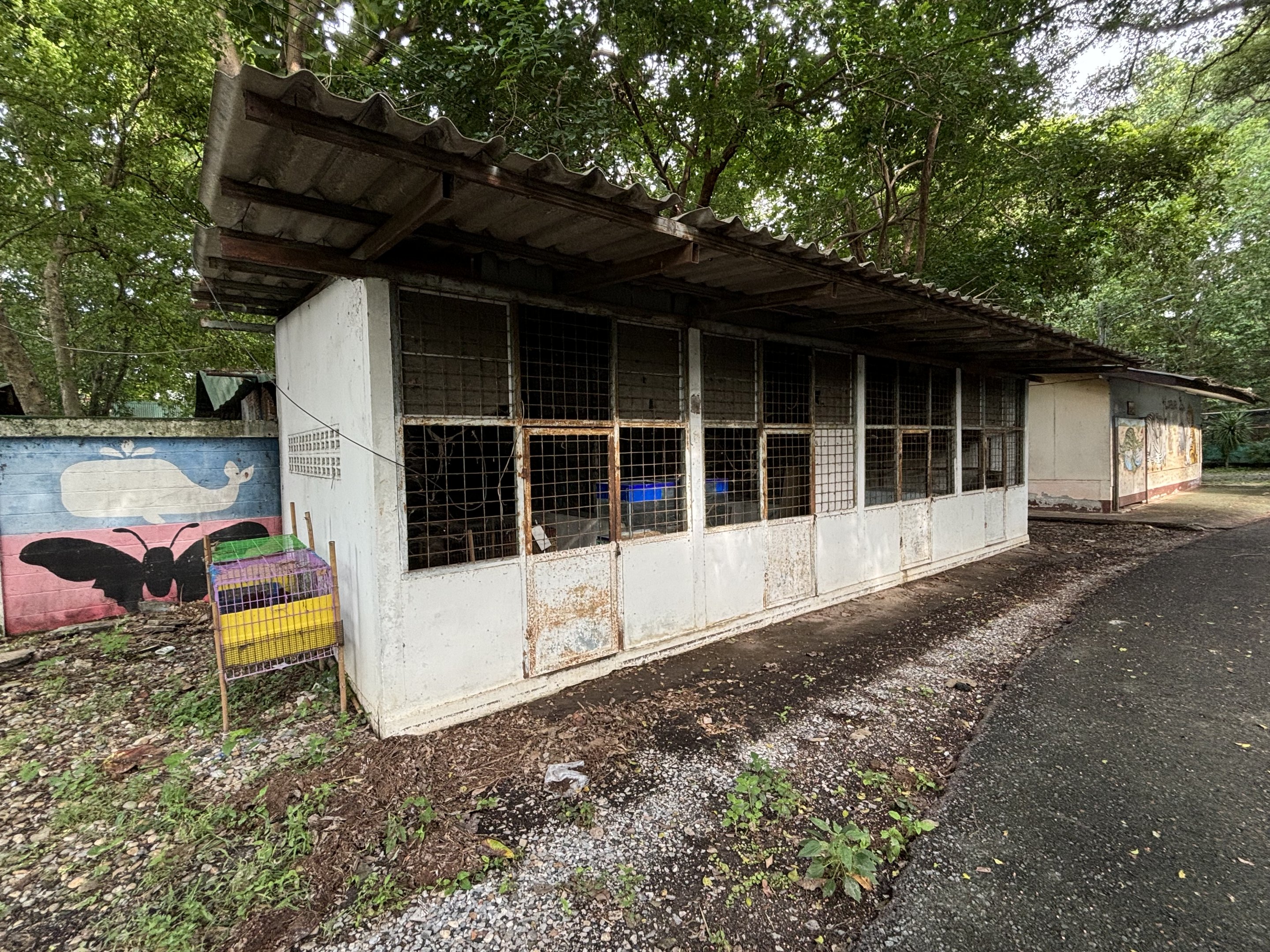 Abandoned Exhibit - Lopburi Zoo