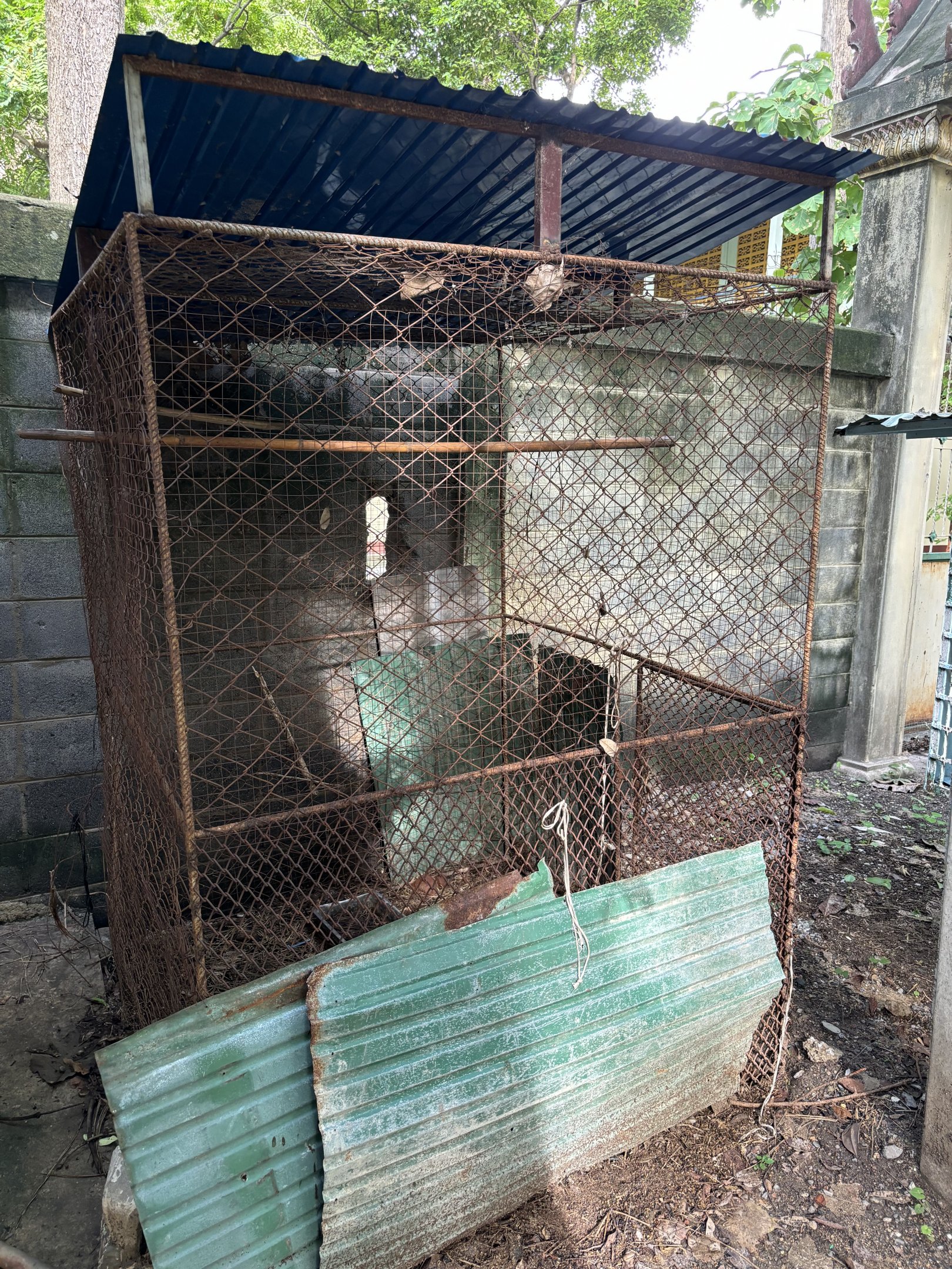 Abandoned Exhibit - Lopburi Zoo