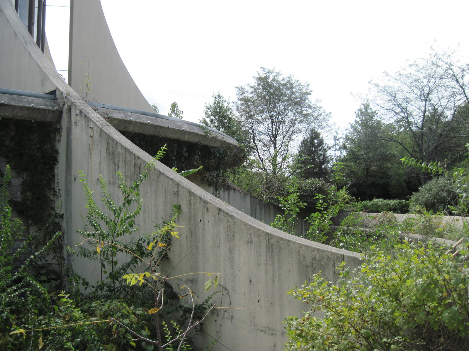 Abandoned Great Ape House