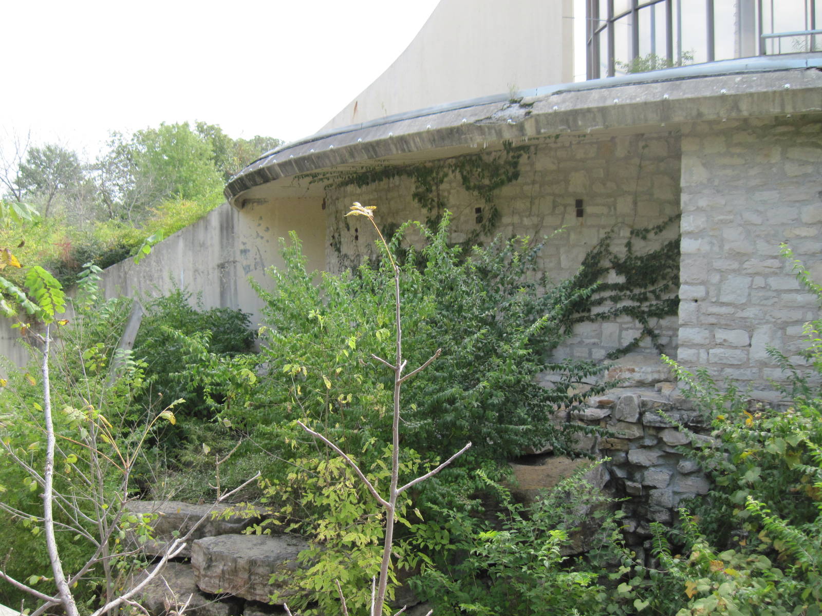 Abandoned Great Ape House