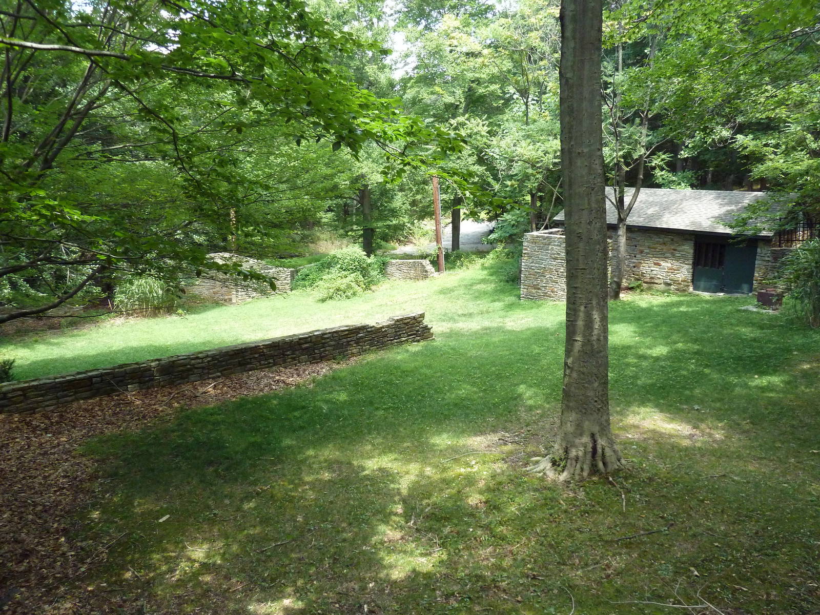Abandoned Hoofstock Enclosure (No Longer Used By Zoo)