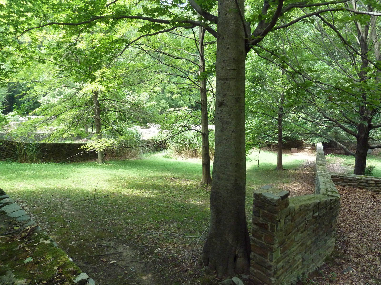Abandoned Hoofstock Enclosure (No Longer Used By Zoo)