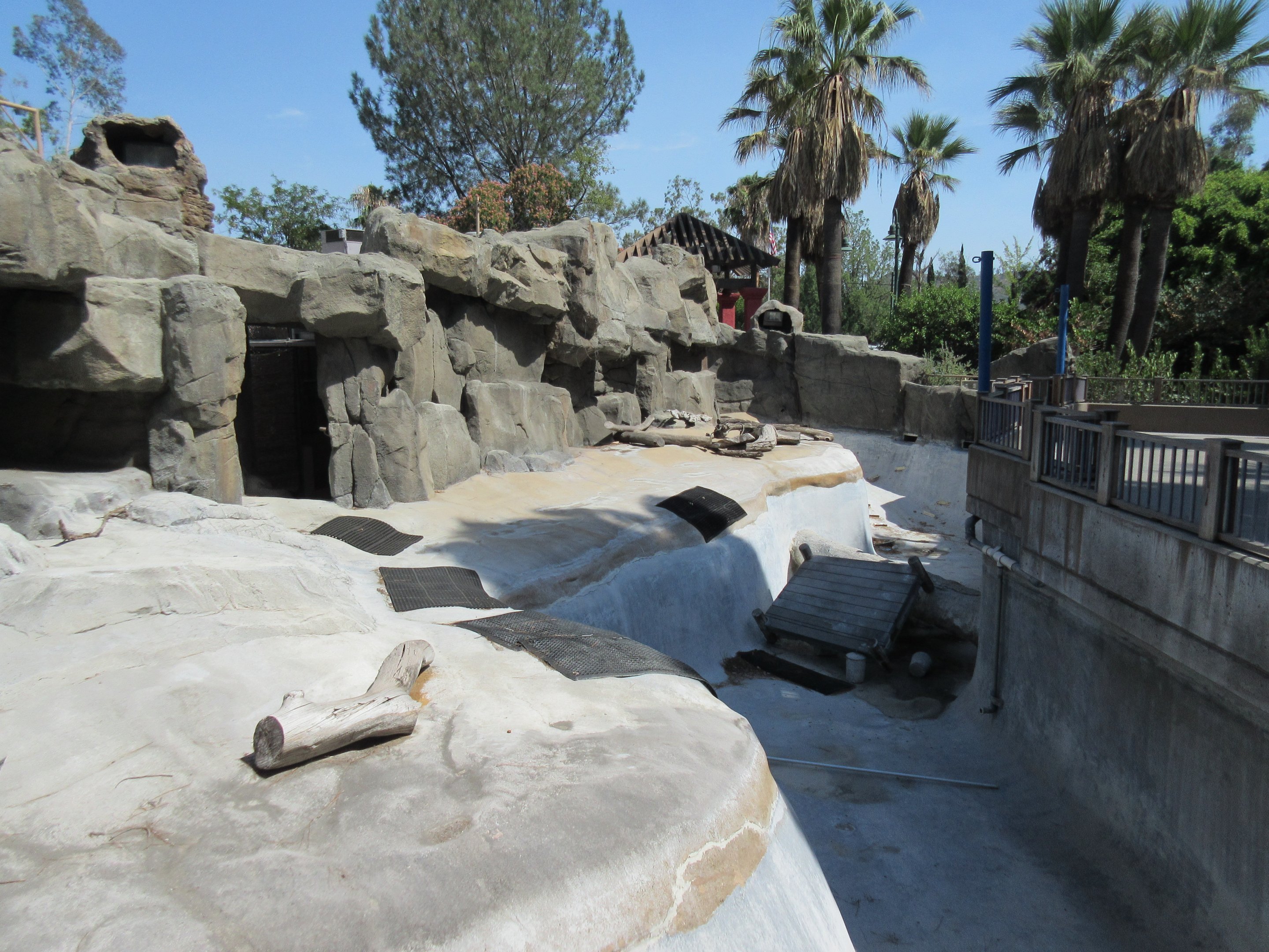 Abandoned Pinniped Pool (empty for many years)