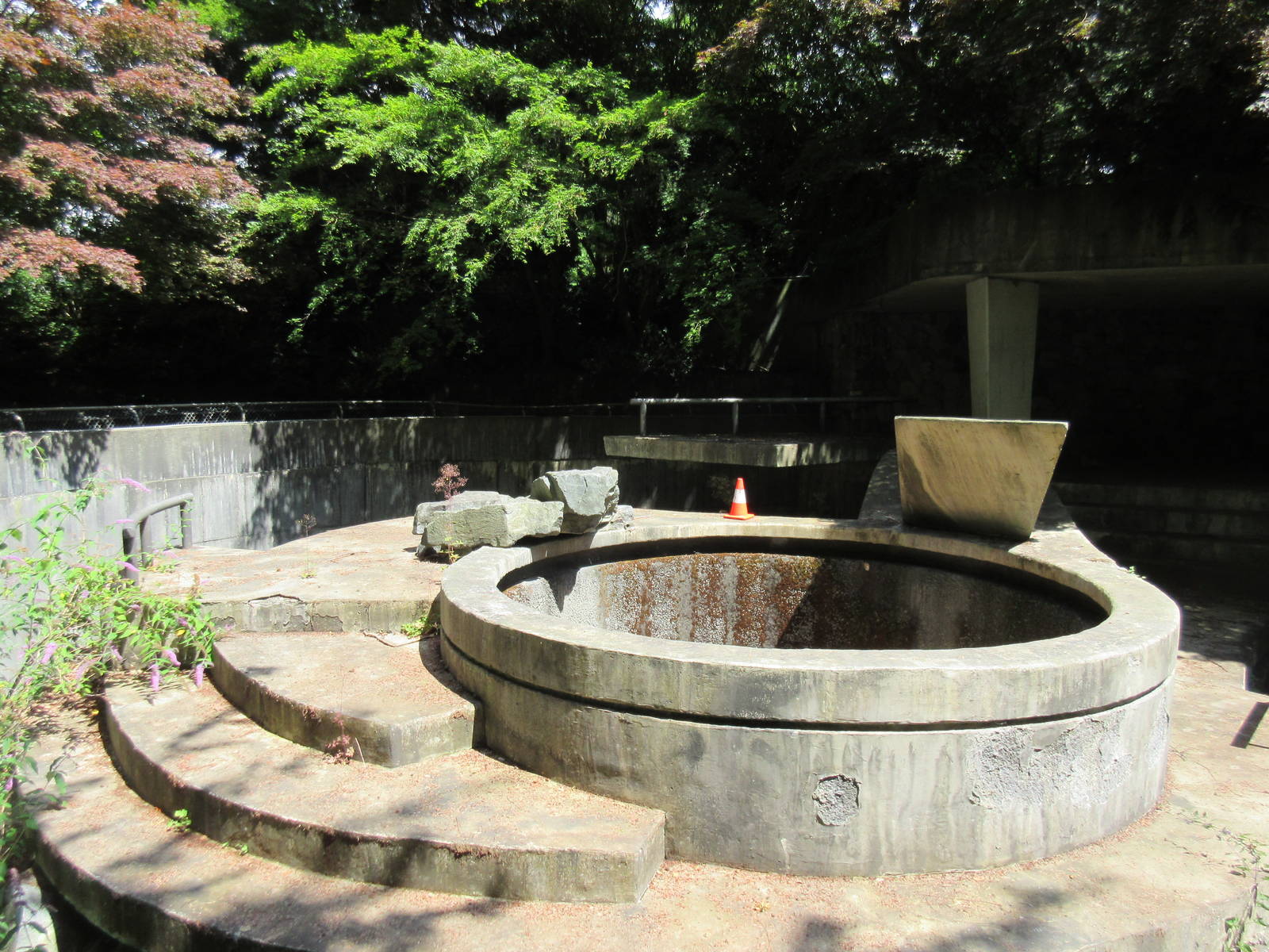 Abandoned Polar Bear Exhibit (in Stanley Park and not used since 1997)