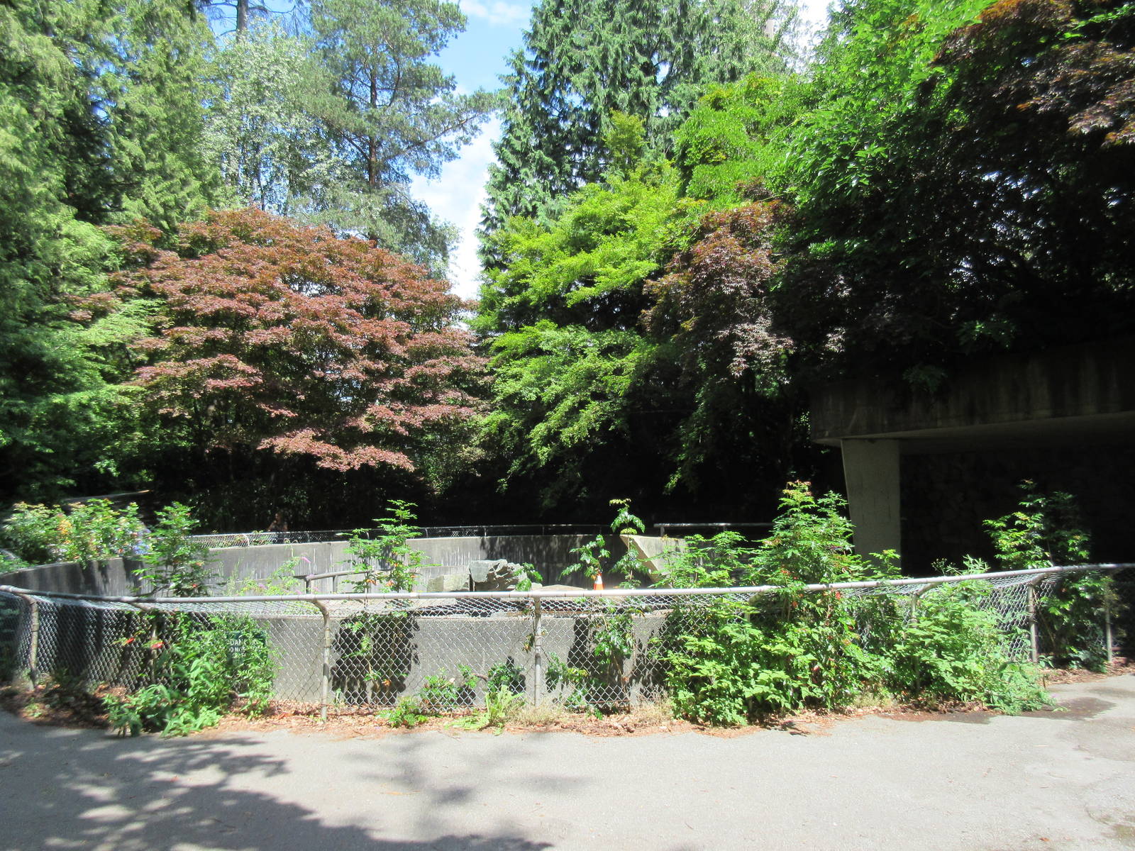 Abandoned Polar Bear Exhibit (in Stanley Park and not used since 1997)