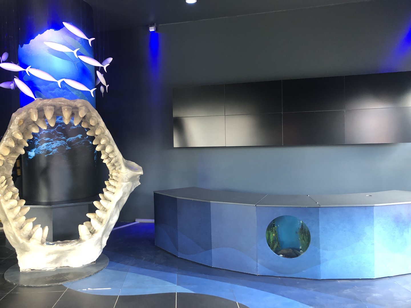 Abandoned Reception with Live Fish at ViaSea Aquarium