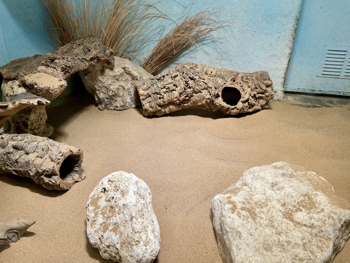 Abandoned Sengi Enclosure