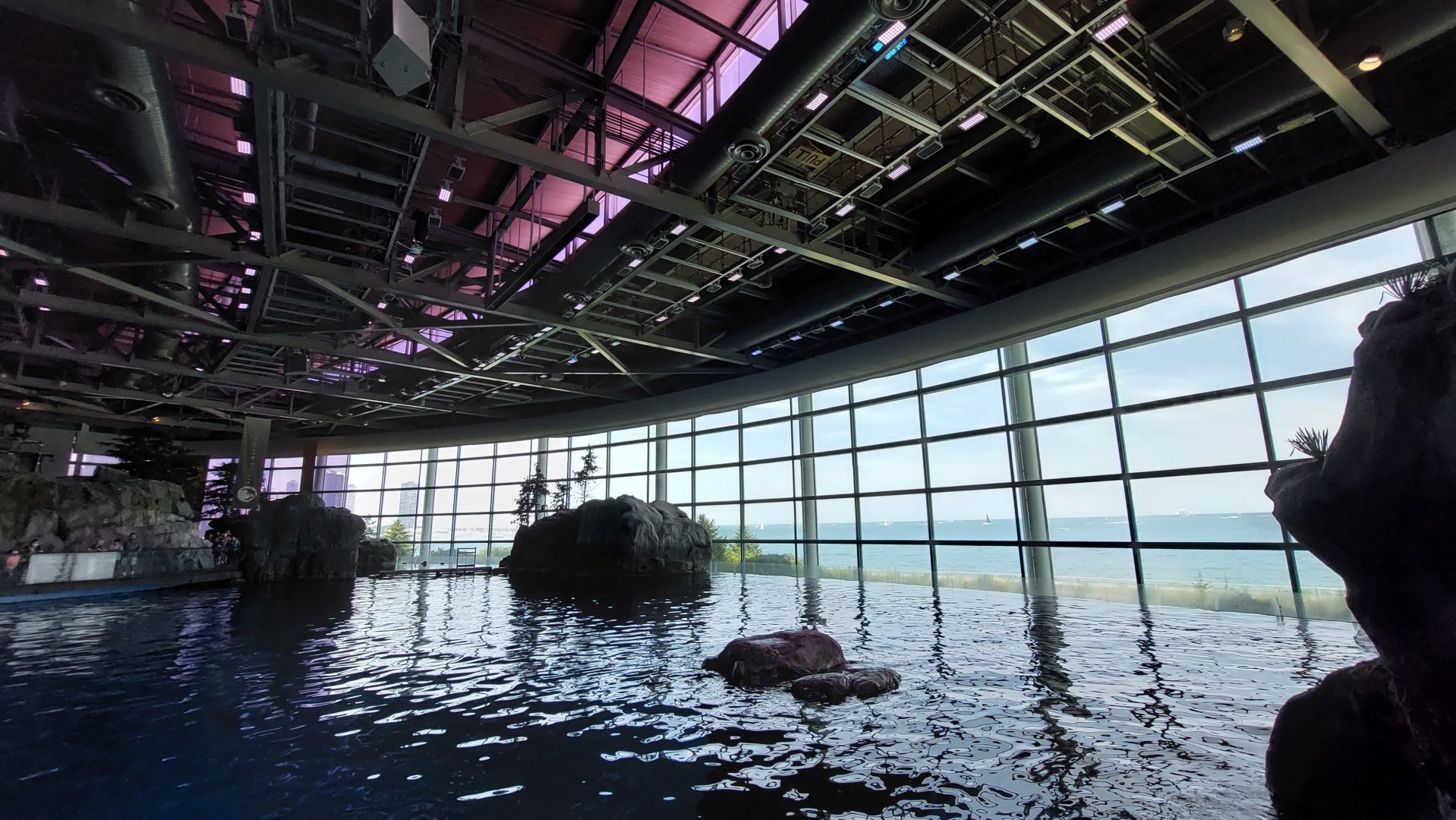Abbot Oceanarium
