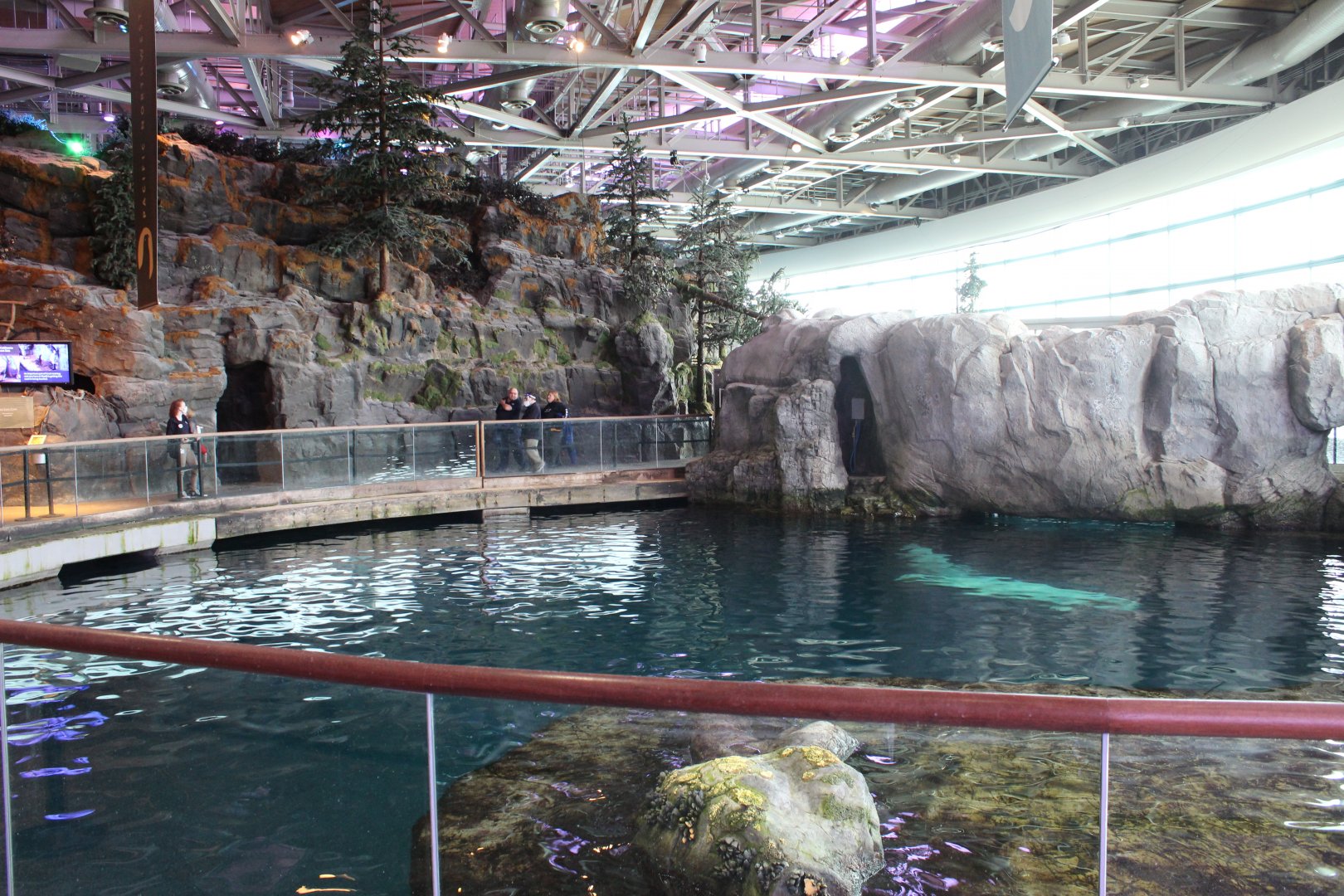Abbott Oceanarium