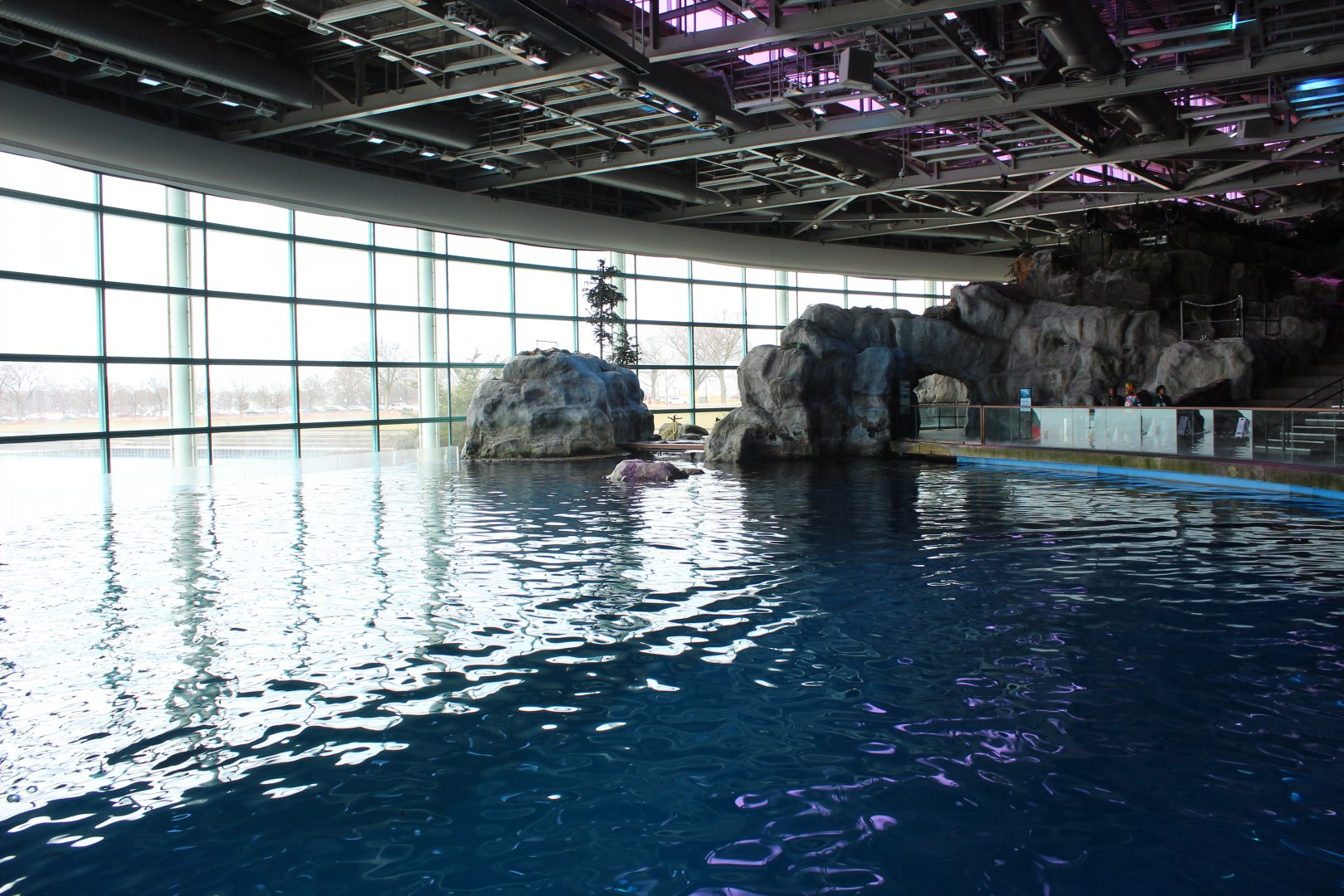 Abbott Oceanarium