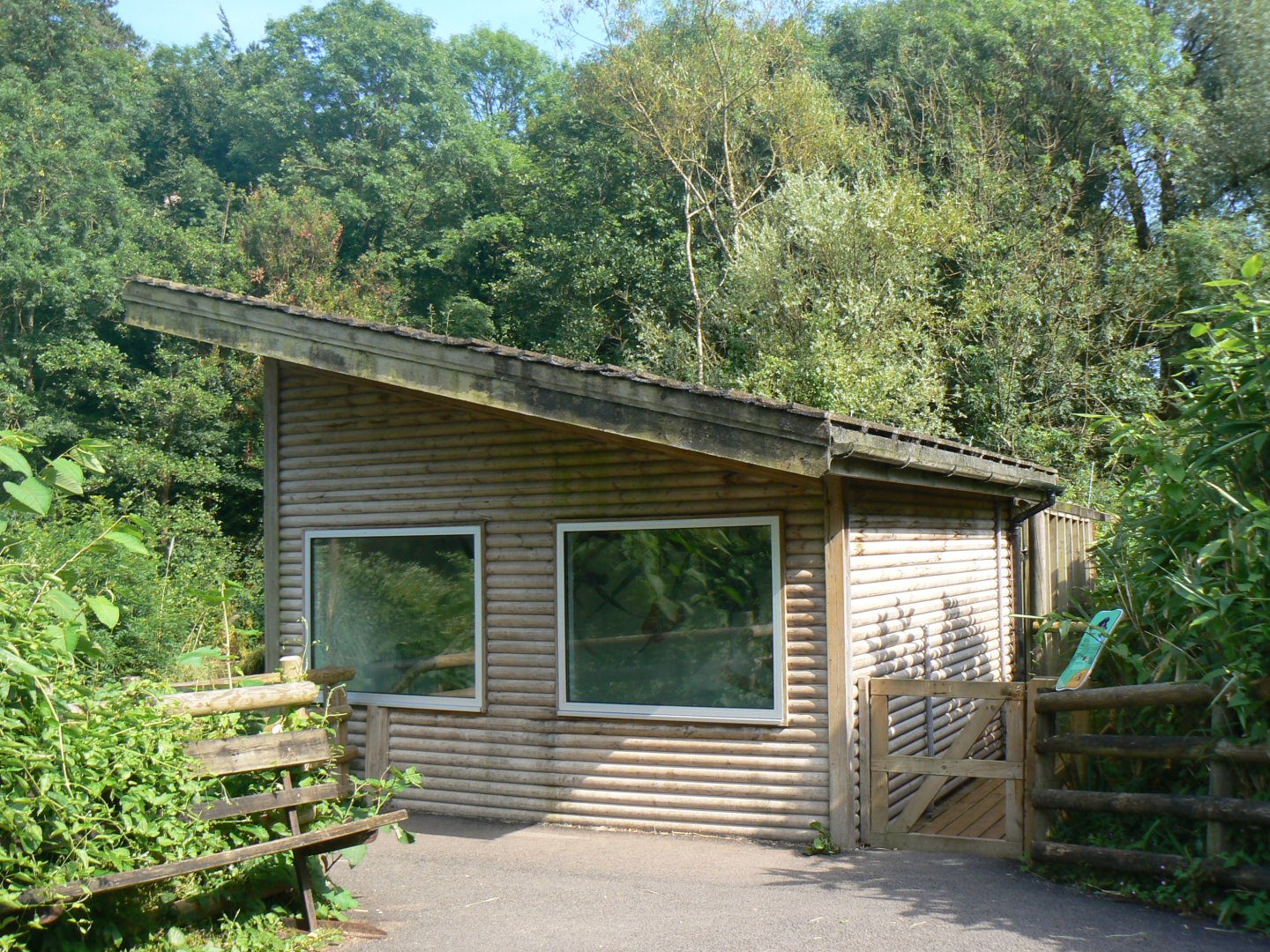 Abbott's Grey Gibbon house - 6 July 2018