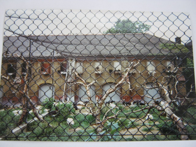 Abdim`s Stork colony and African Spoonbills.