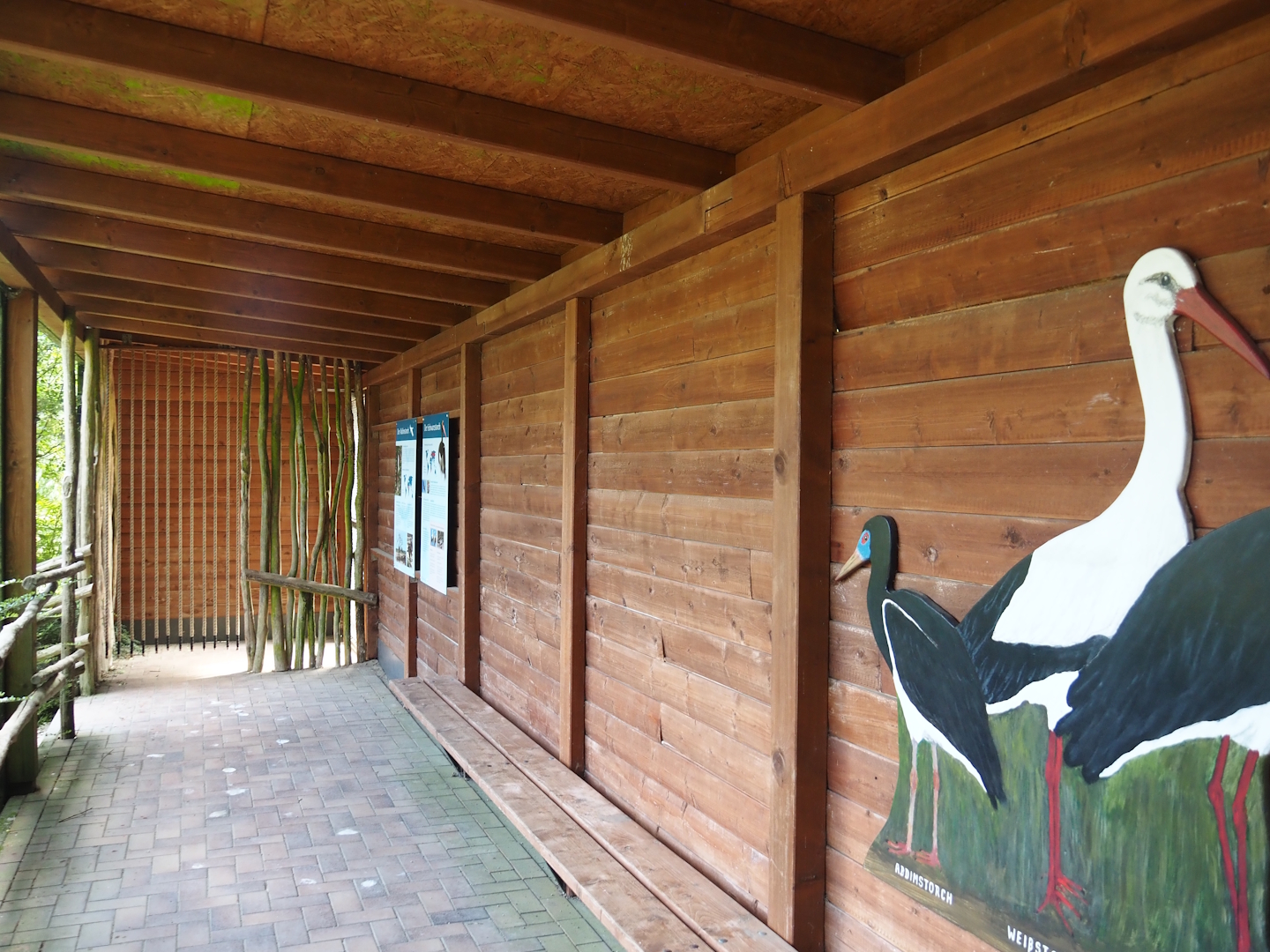 Abdim's stork and Black stork aviary viewing area, 2025-05-22