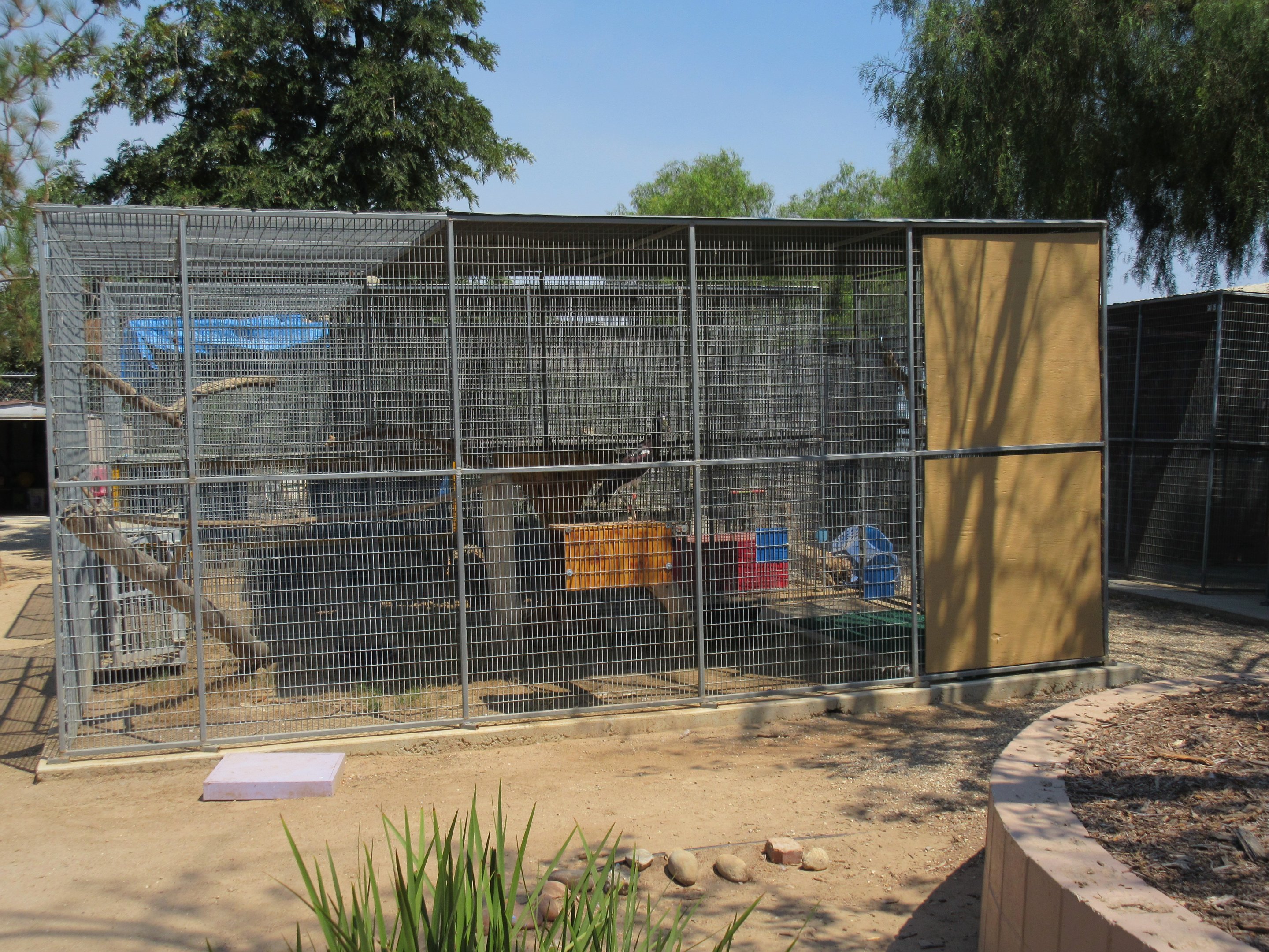 Abdim's Stork Exhibit