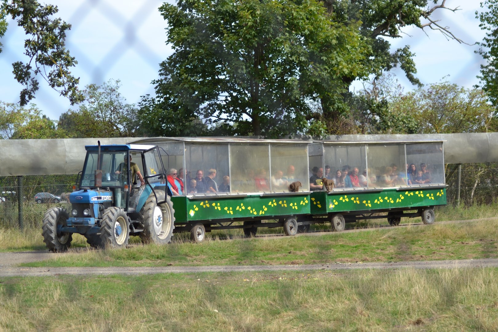 Abebussen in Knuthenborg