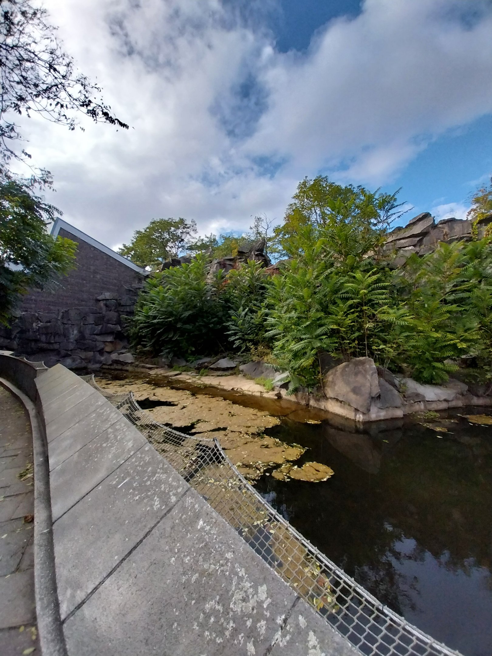 ABH - Terrace behind Sunbear