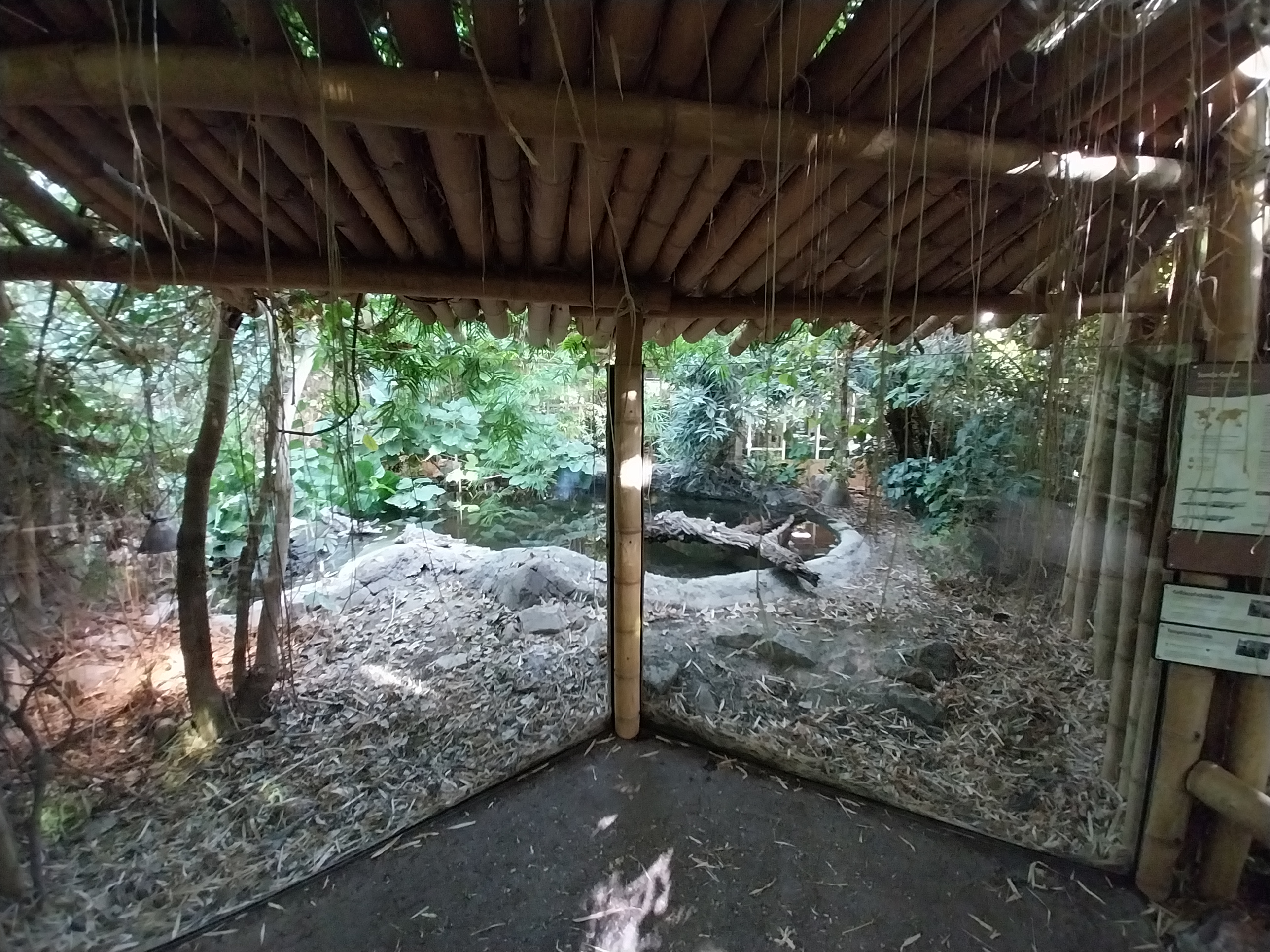 ABH - Tropical Rainforest - Gharial exhibit 1