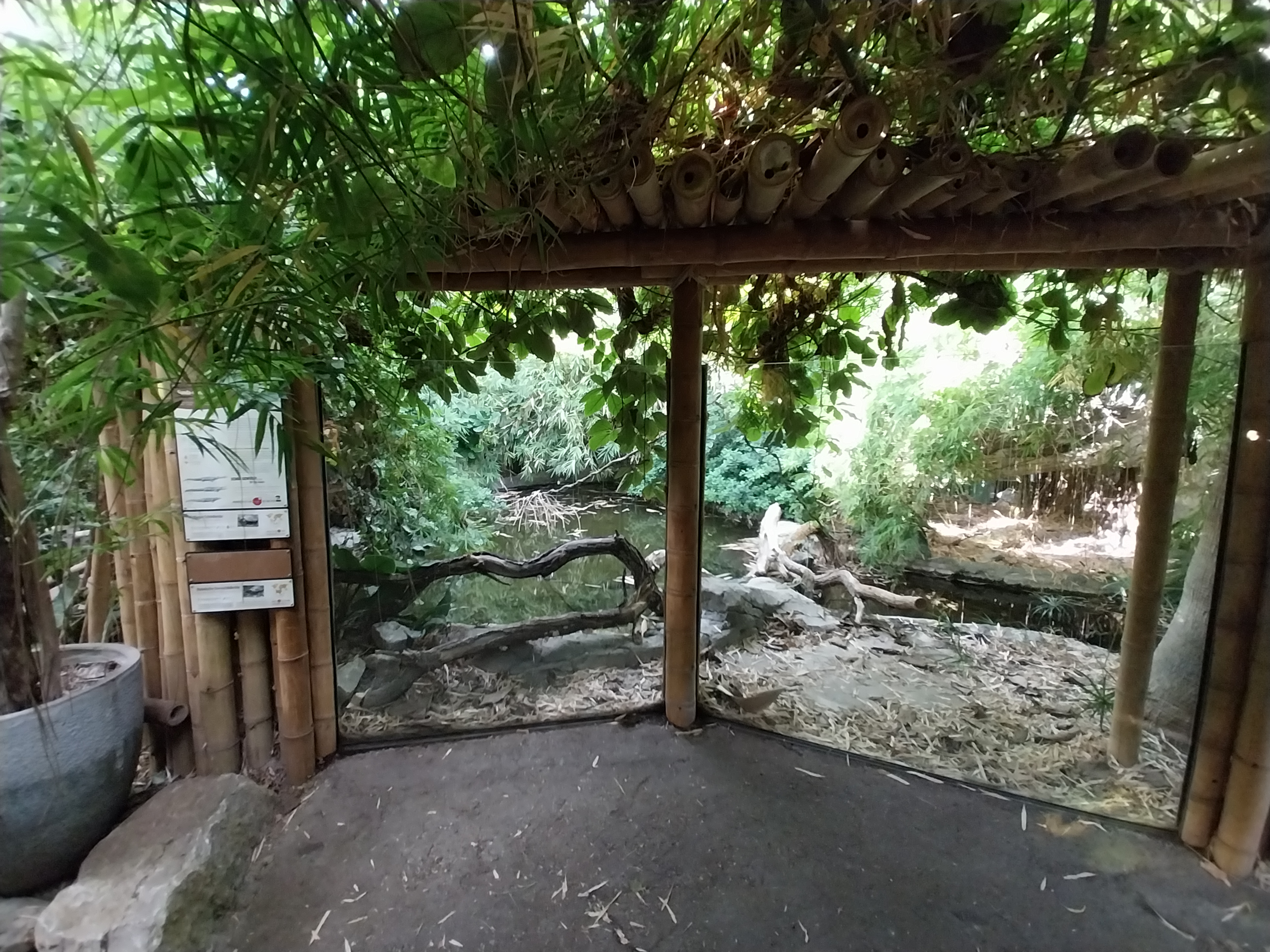 ABH - Tropical Rainforest - Gharial exhibit 2