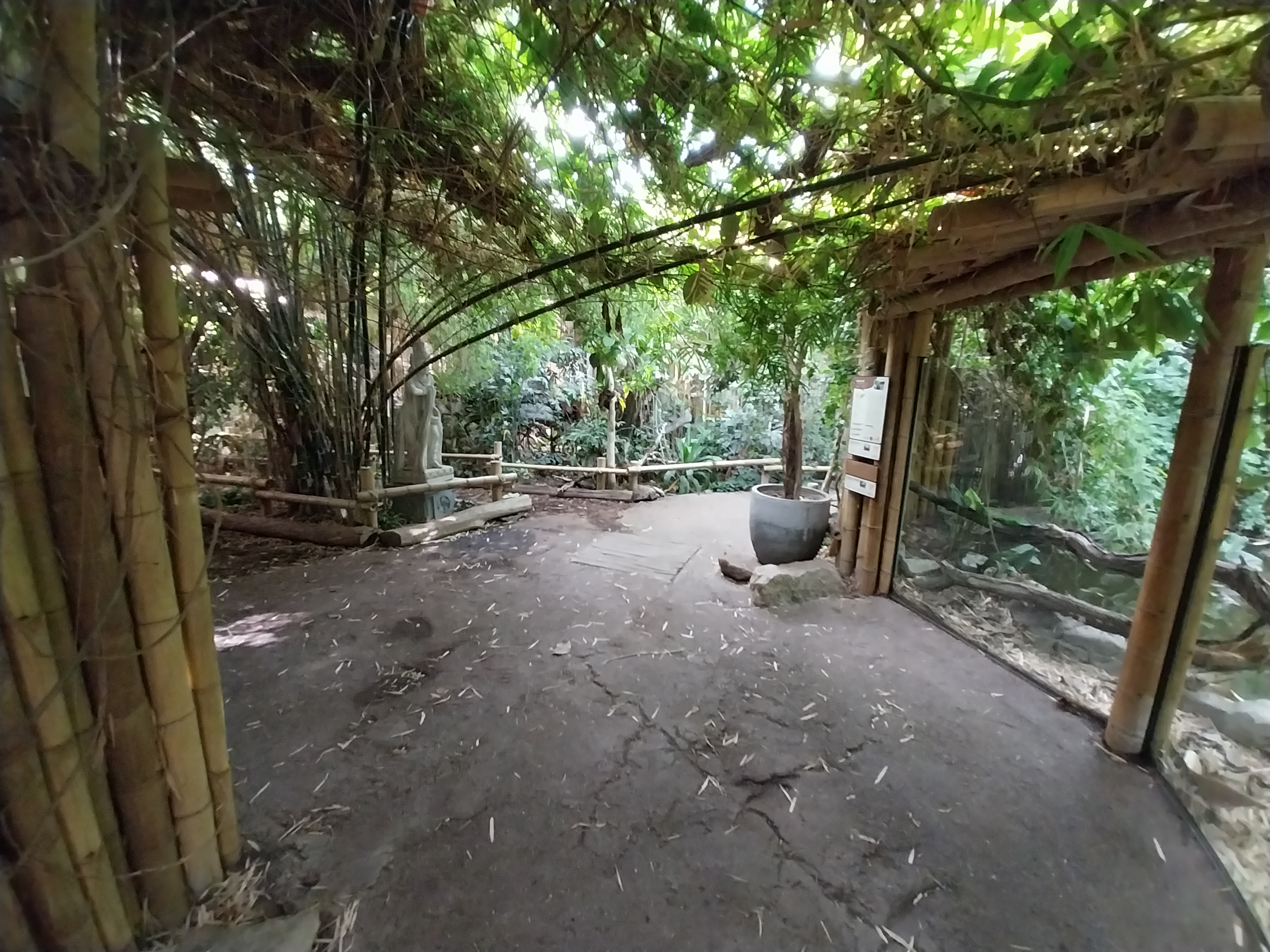 ABH - Tropical Rainforest - Gharial exhibits