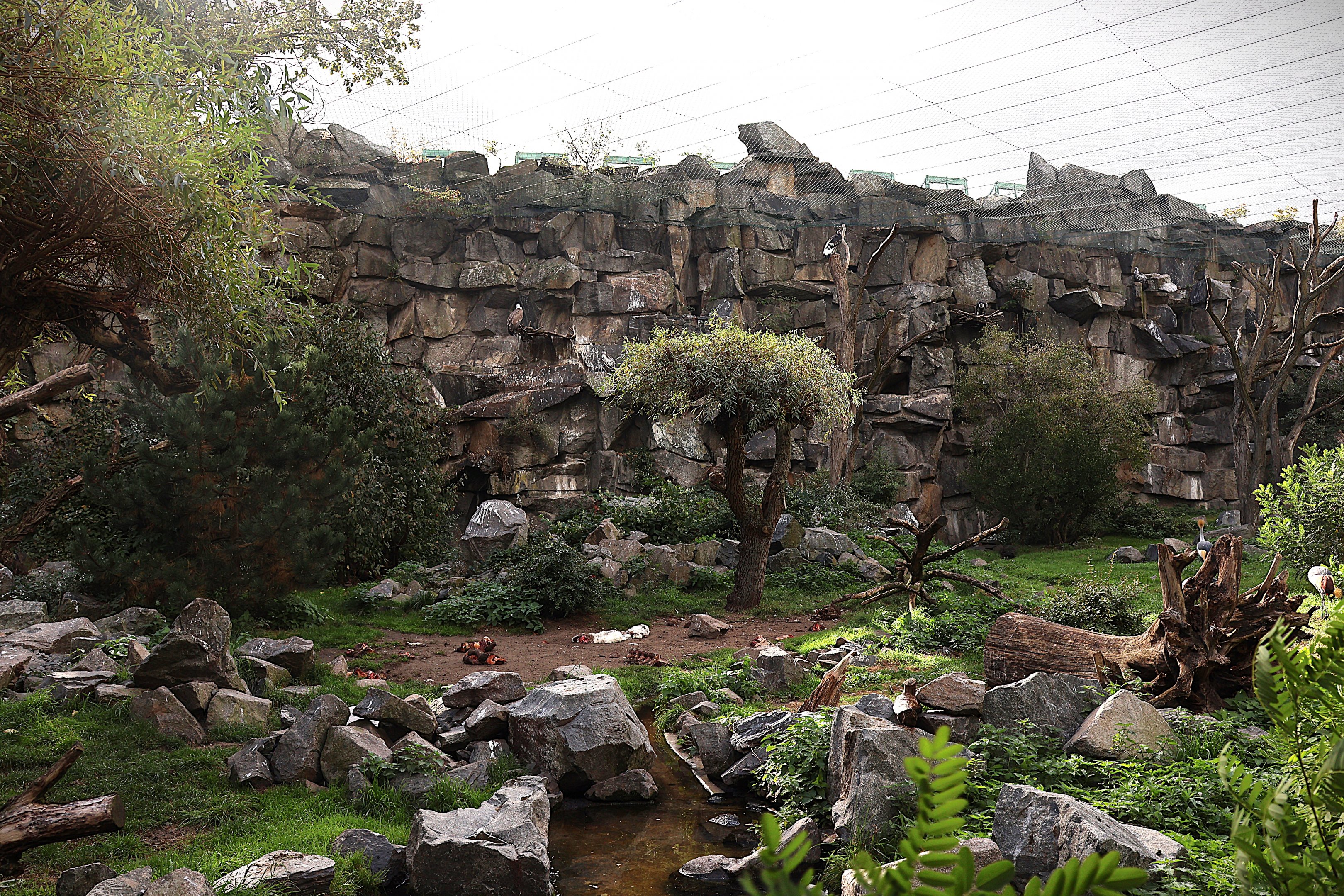 ABH - Vulture aviary