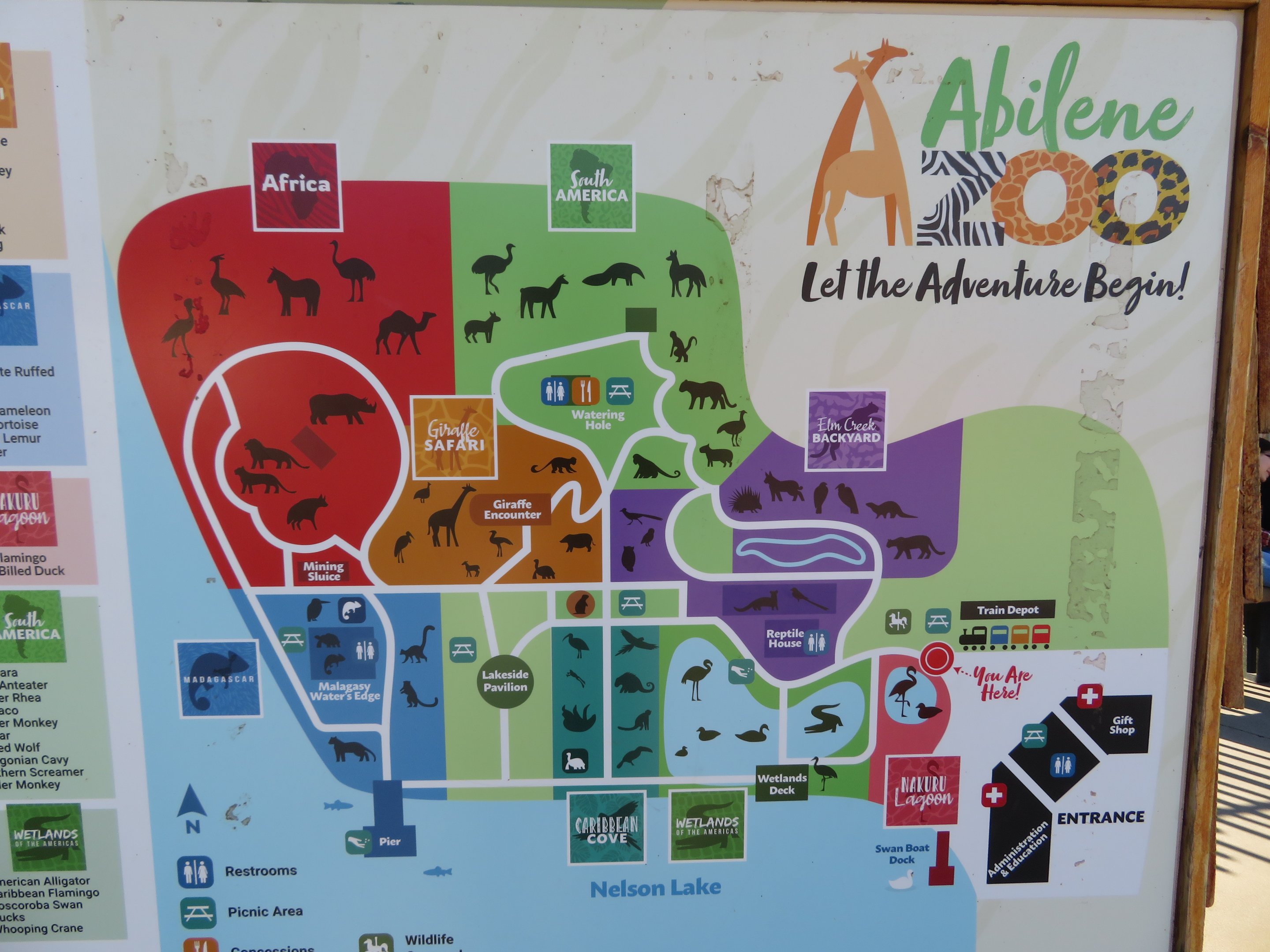 Abilene Zoo Map 2022