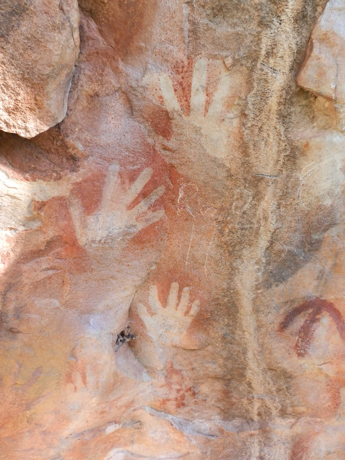 Aboriginal Paintings