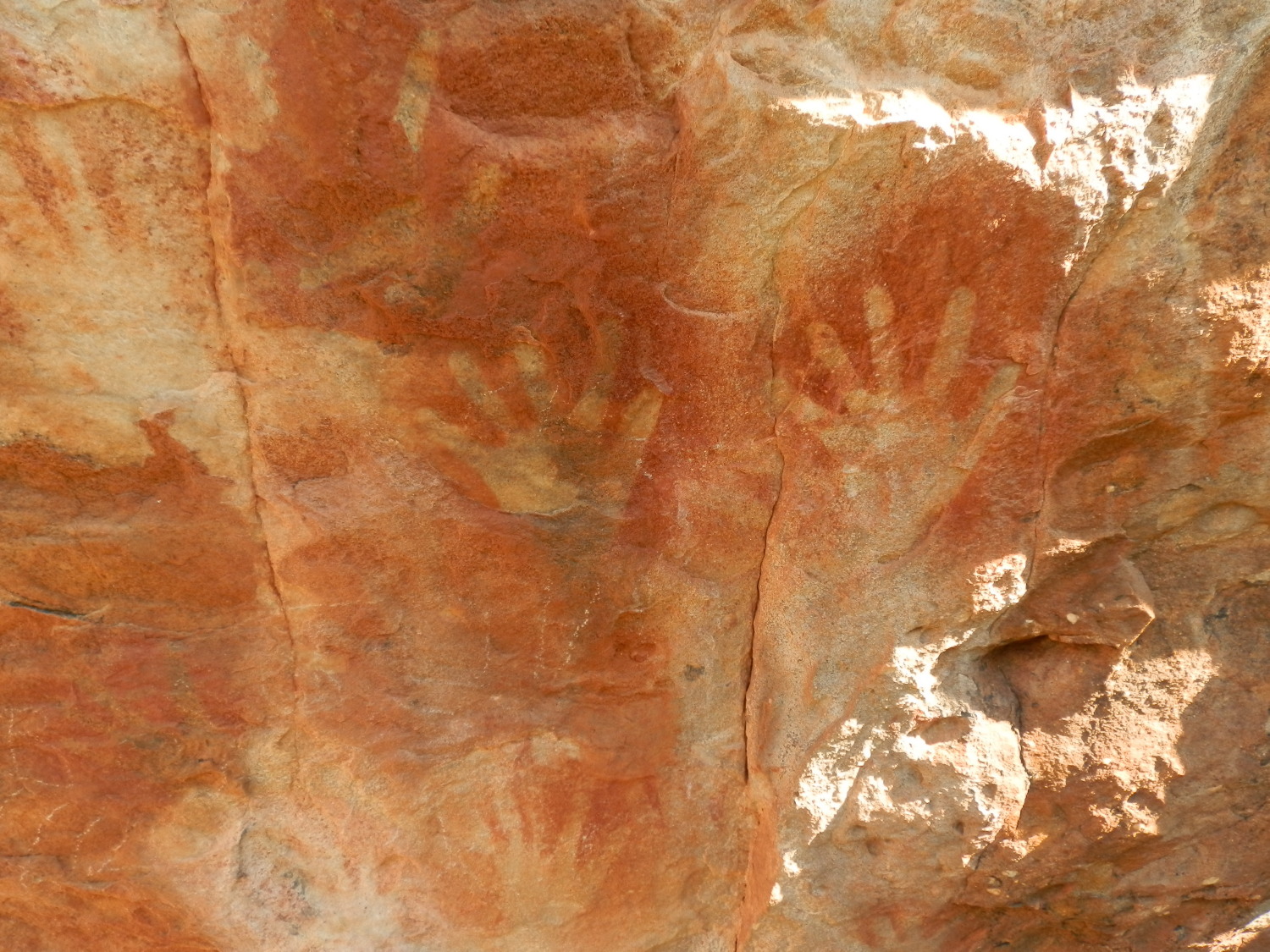 Aboriginal Paintings