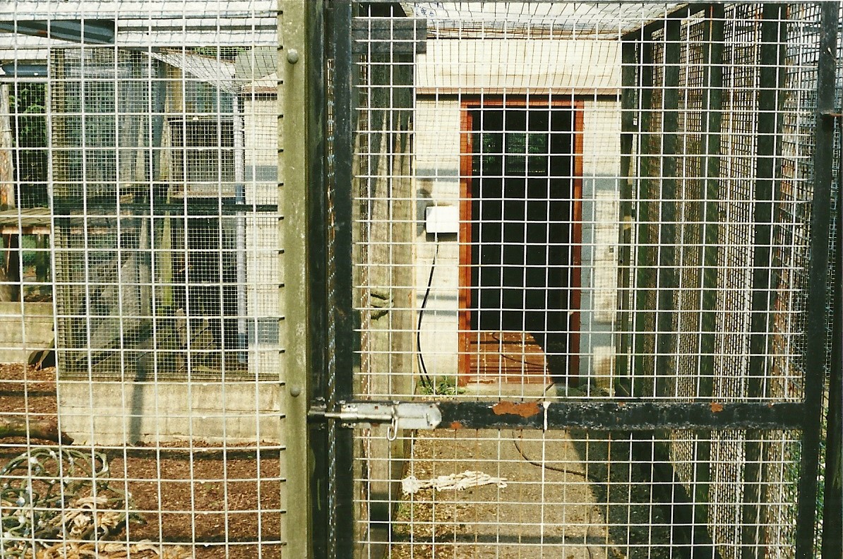 About to be demolished Primate Block 1st April 2000