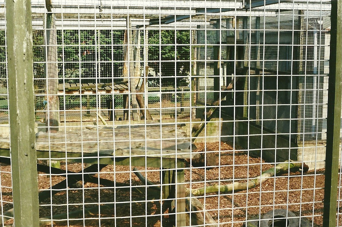 About to be demolished Primate Block 1st April 2000