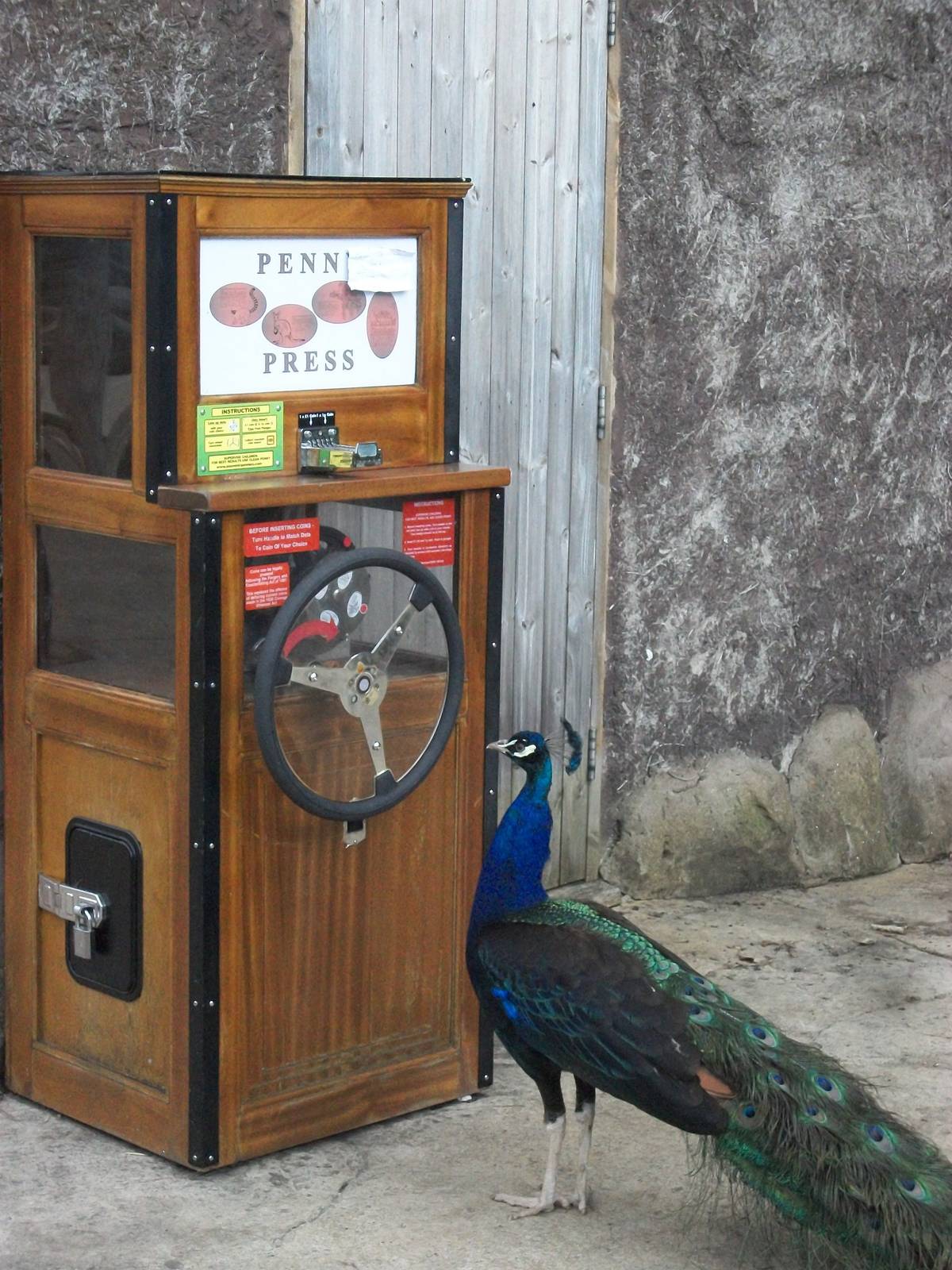 About to press a penny? 7th July 2014