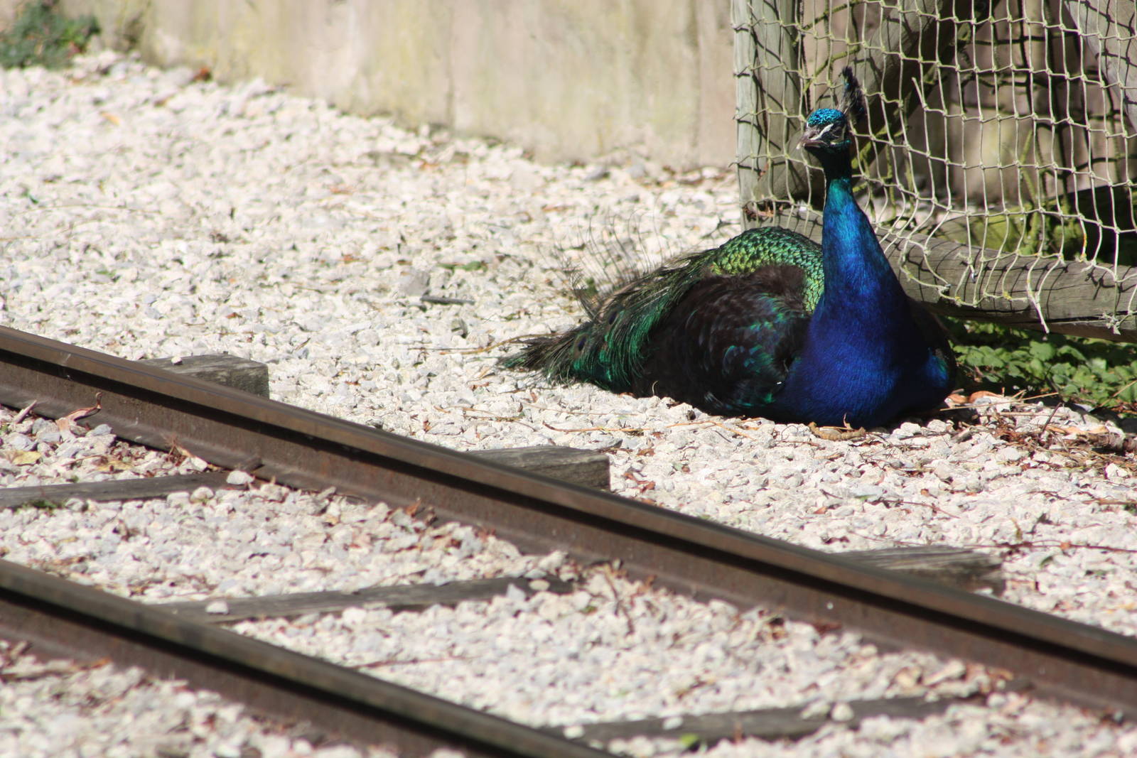 About to receive a rude awakening, 4th August 2014