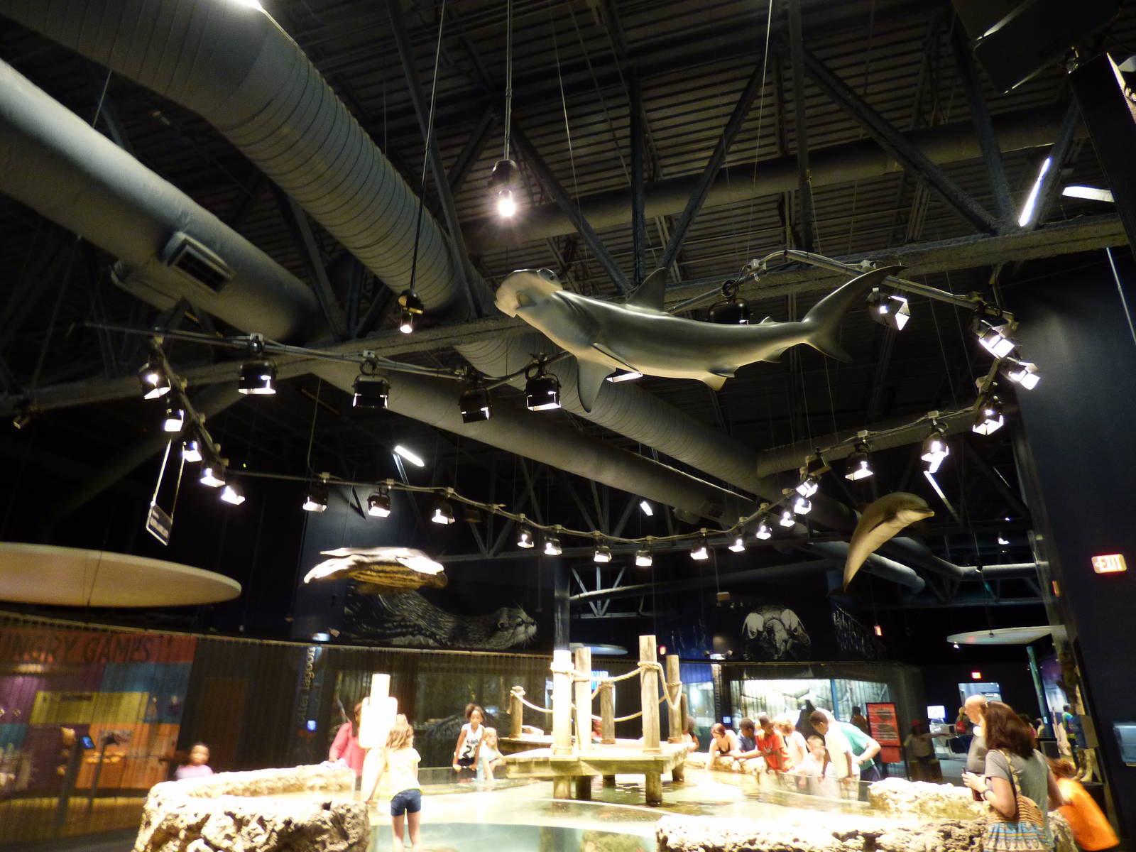 Above Decor in Aquarium