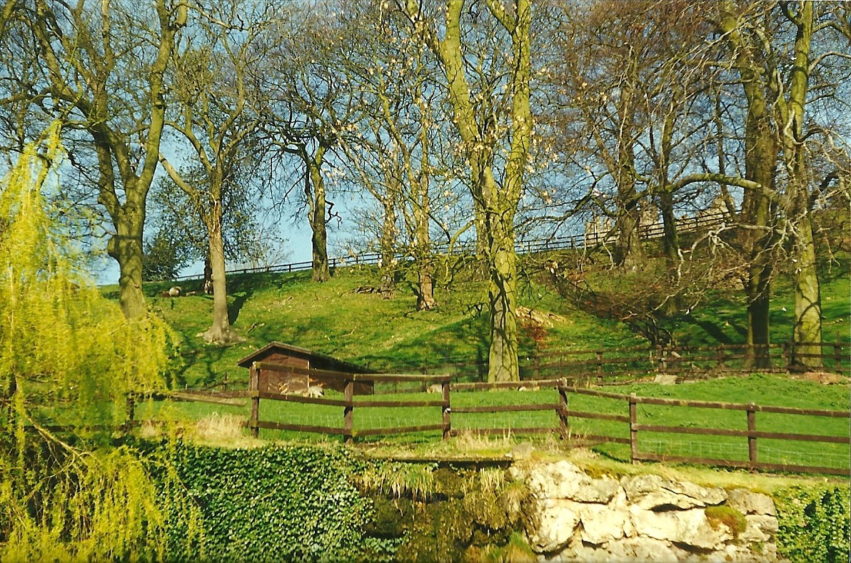 Above the Flamingo Pool 2nd April 1999