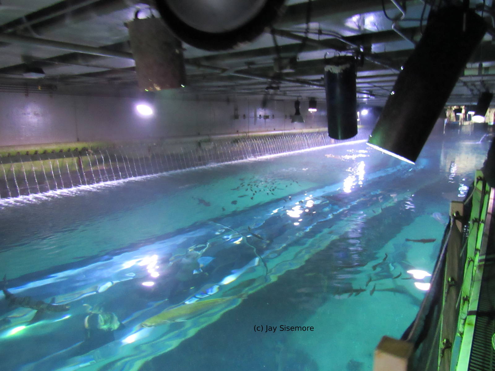 Above the Offshore Tunnel