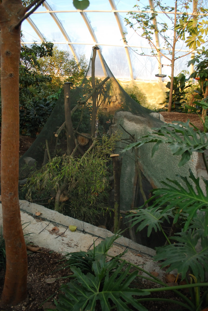 Above the squirrel exhibit