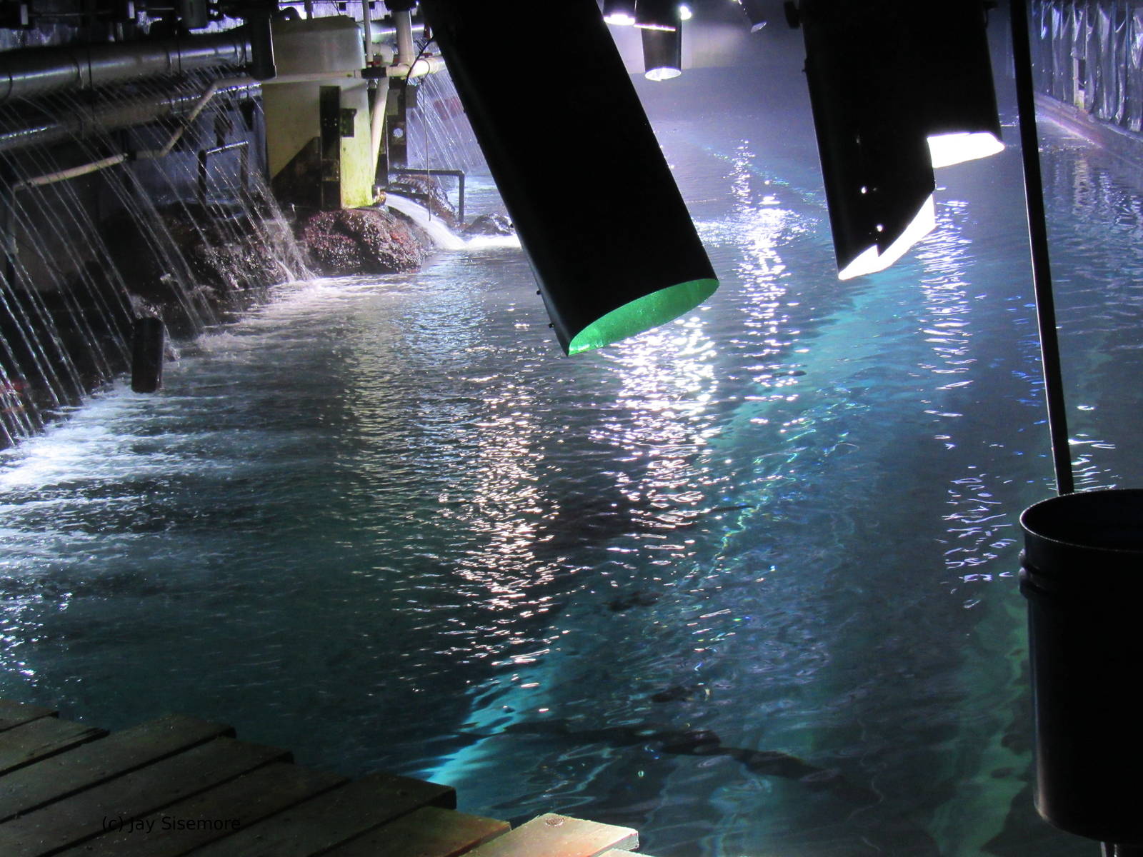 Above View of Nearshore Tunnel
