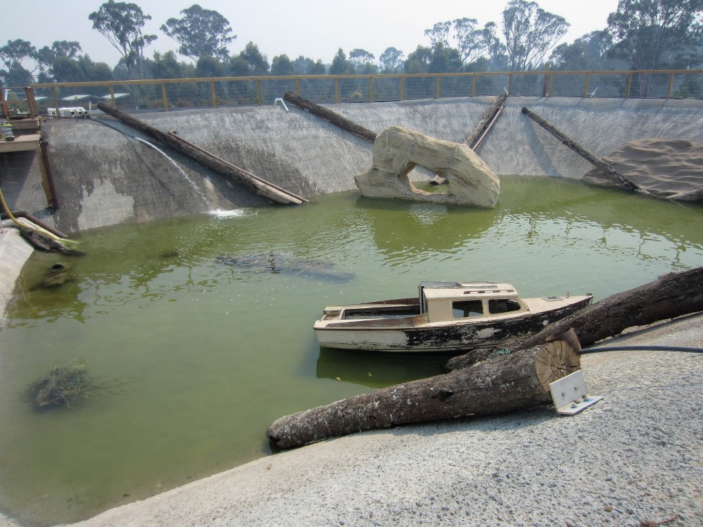 Above view of Shark Pool