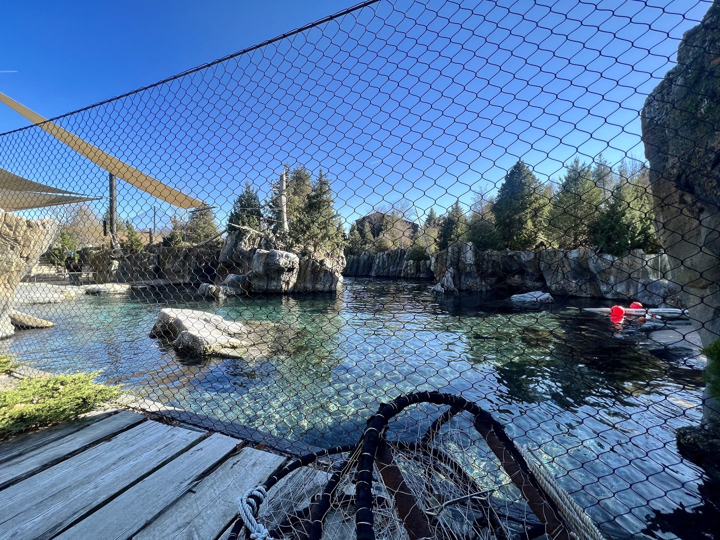 Above Water Viewing Area