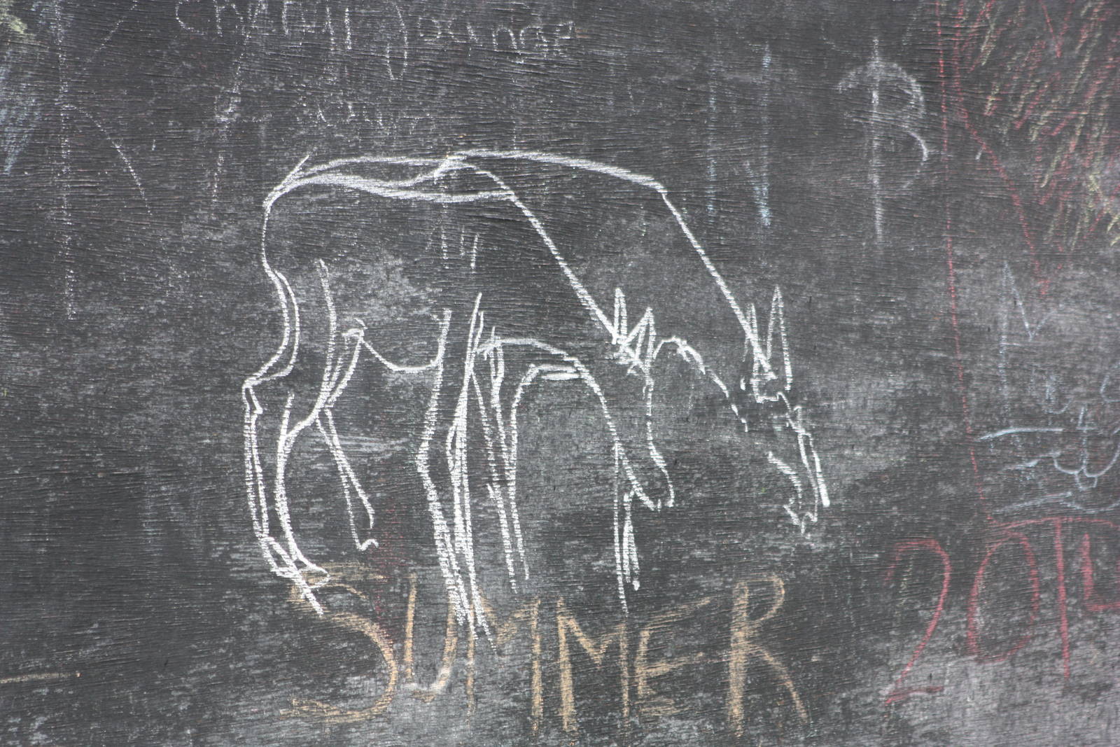 Abstract Alpacas, 6th September 2014