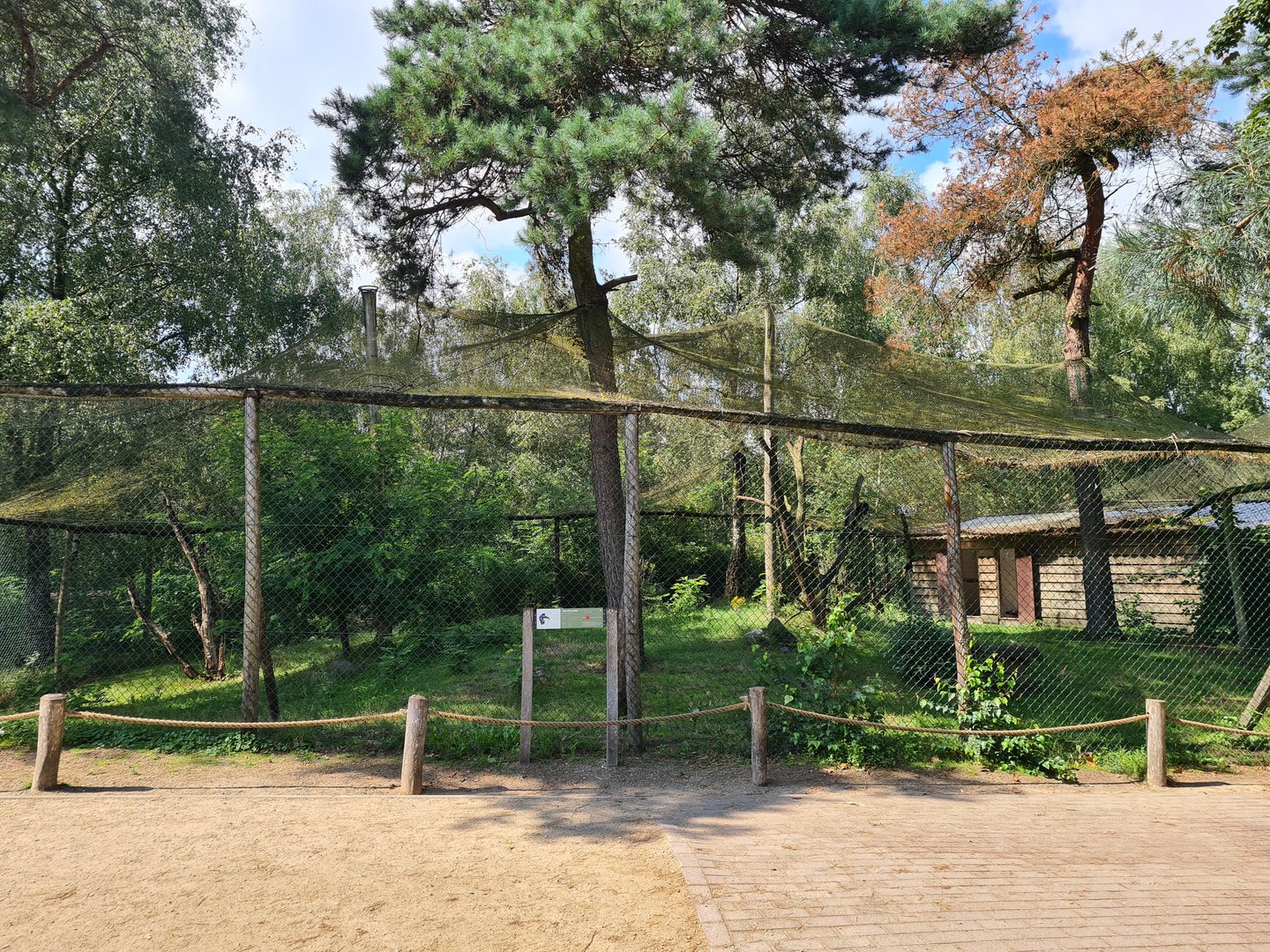 Abyssinian ground hornbill aviary