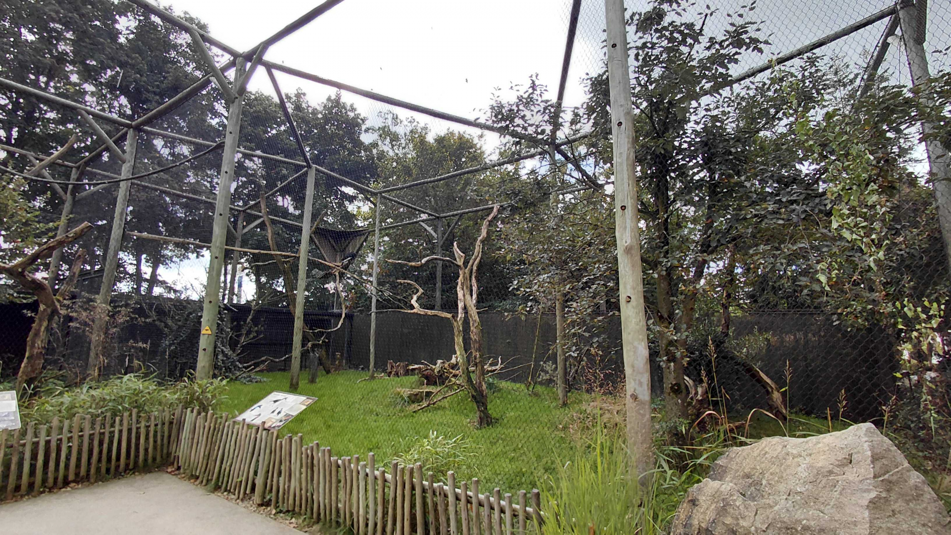 Abyssinian ground hornbill aviary