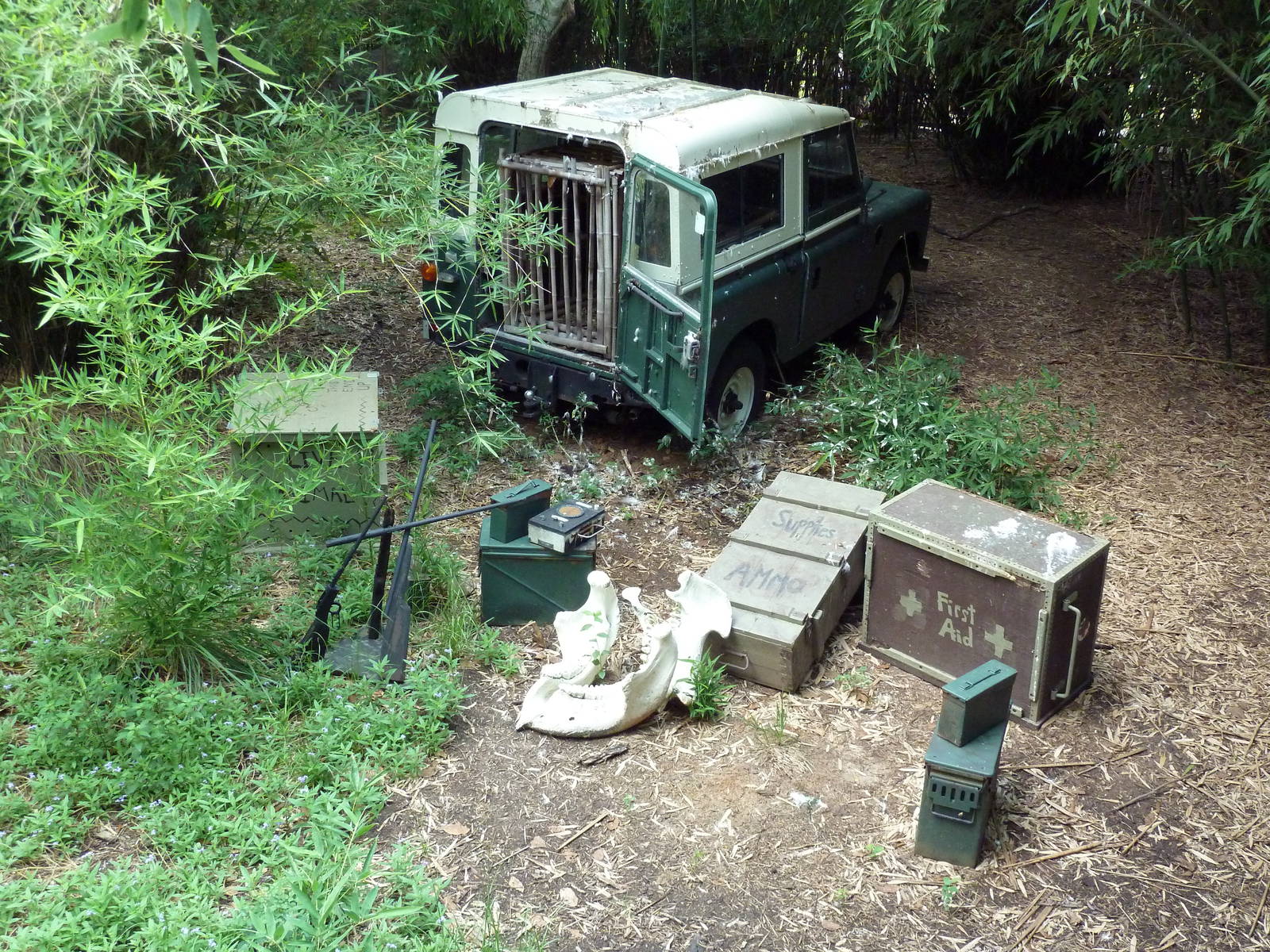 Abyssinian Ground Hornbill/Cinereous Vulture/East African Crowned Crane Exh