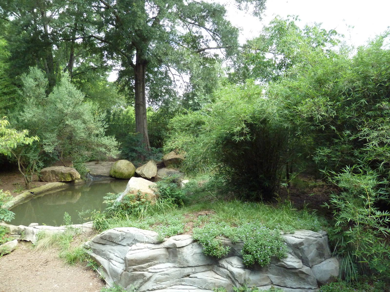 Abyssinian Ground Hornbill/Cinereous Vulture/East African Crowned Crane Exh