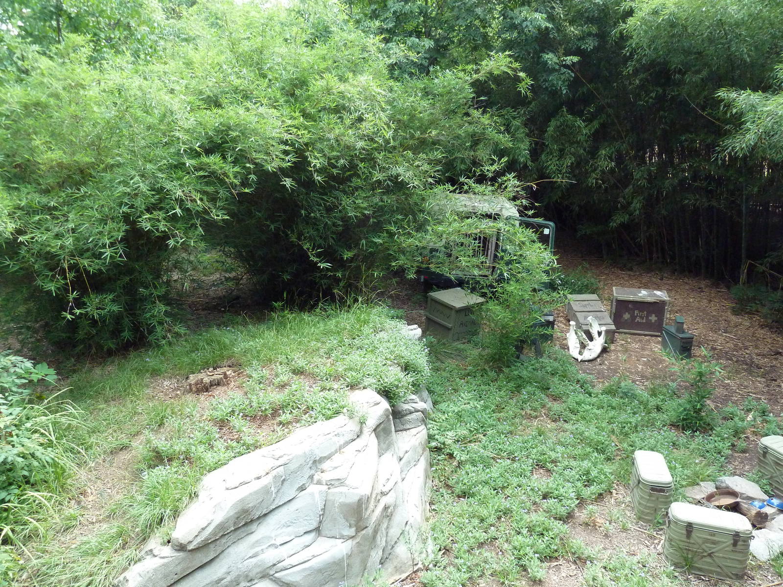 Abyssinian Ground Hornbill/Cinereous Vulture/East African Crowned Crane Exh