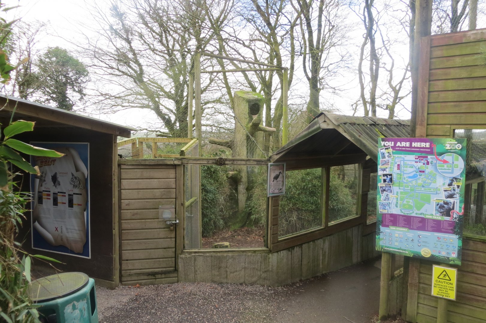 Abyssinian ground hornbill enclosure 040319