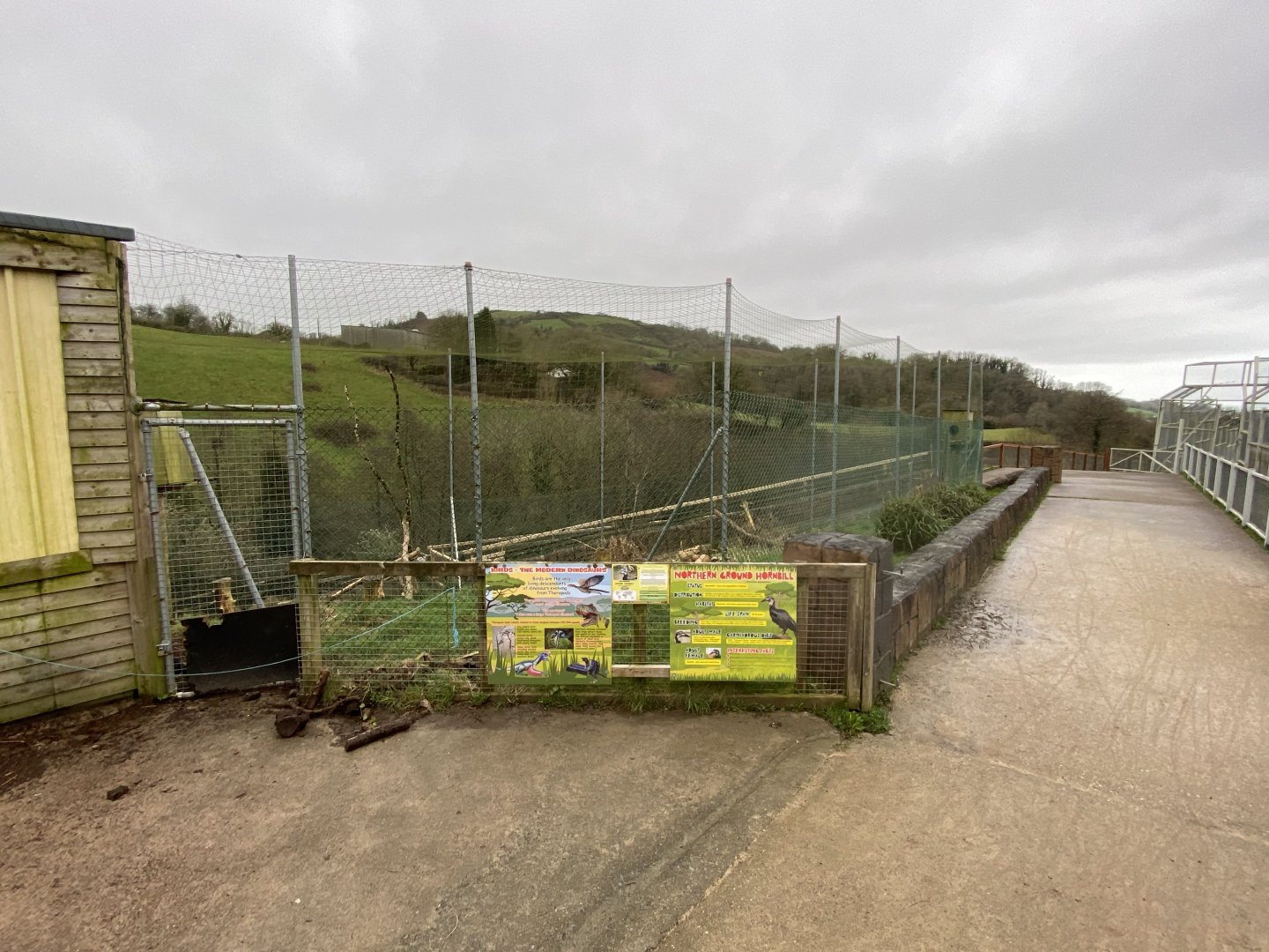 Abyssinian ground hornbill enclosure 170224