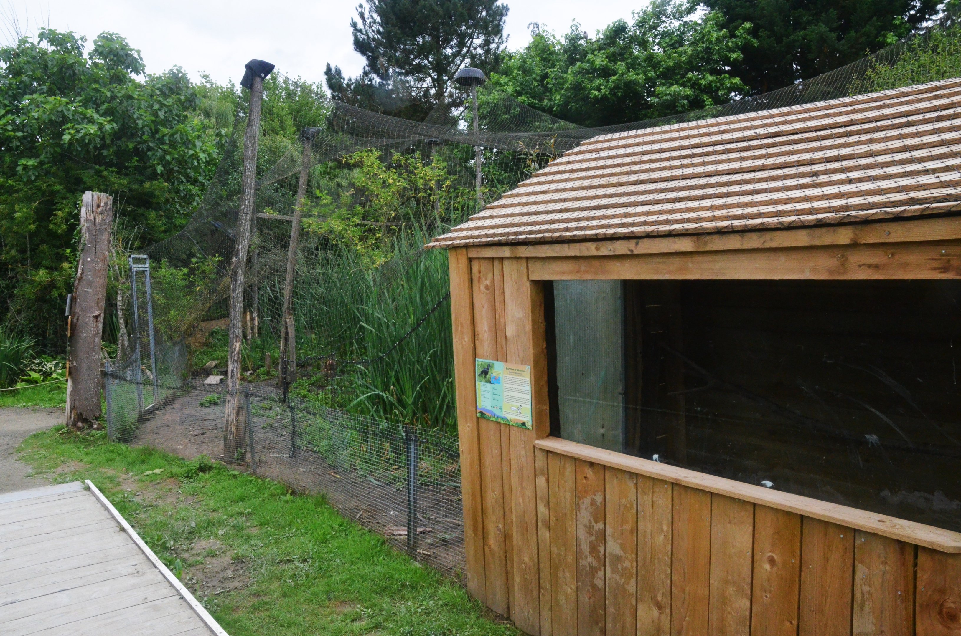 Abyssinian Ground Hornbill Enclosure at Spaycific'Zoo, 13/06/18
