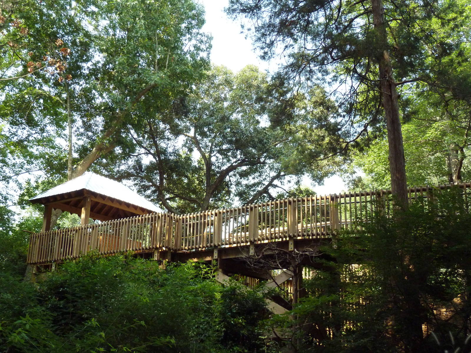 Acacia Station - Giraffe Deck