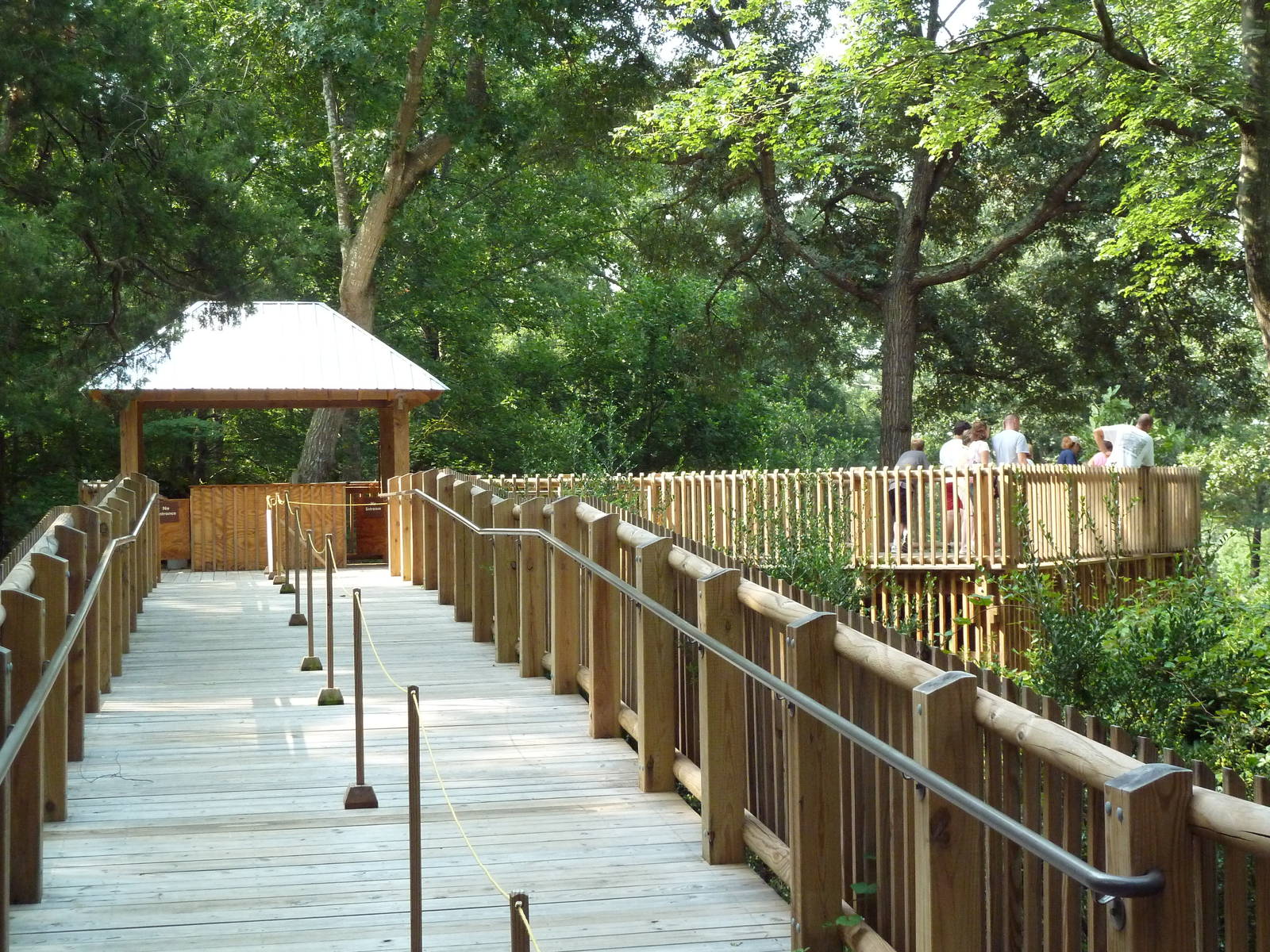 Acacia Station - Giraffe Deck